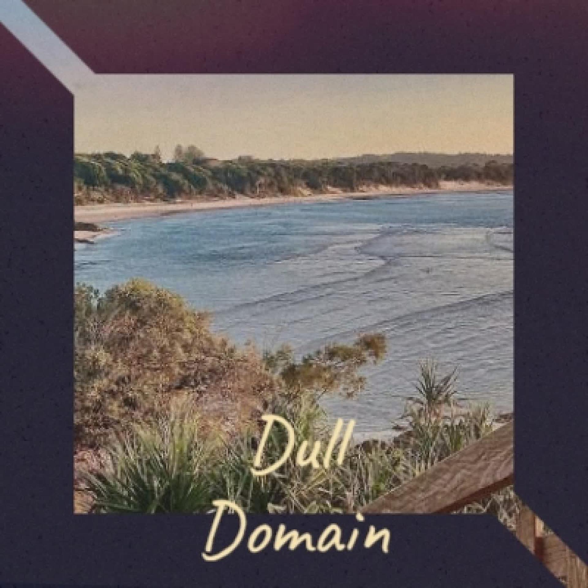 Постер альбома Dull Domain