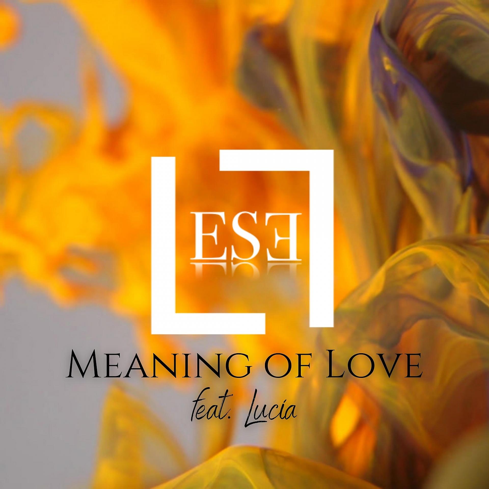 Постер альбома Meaning of Love