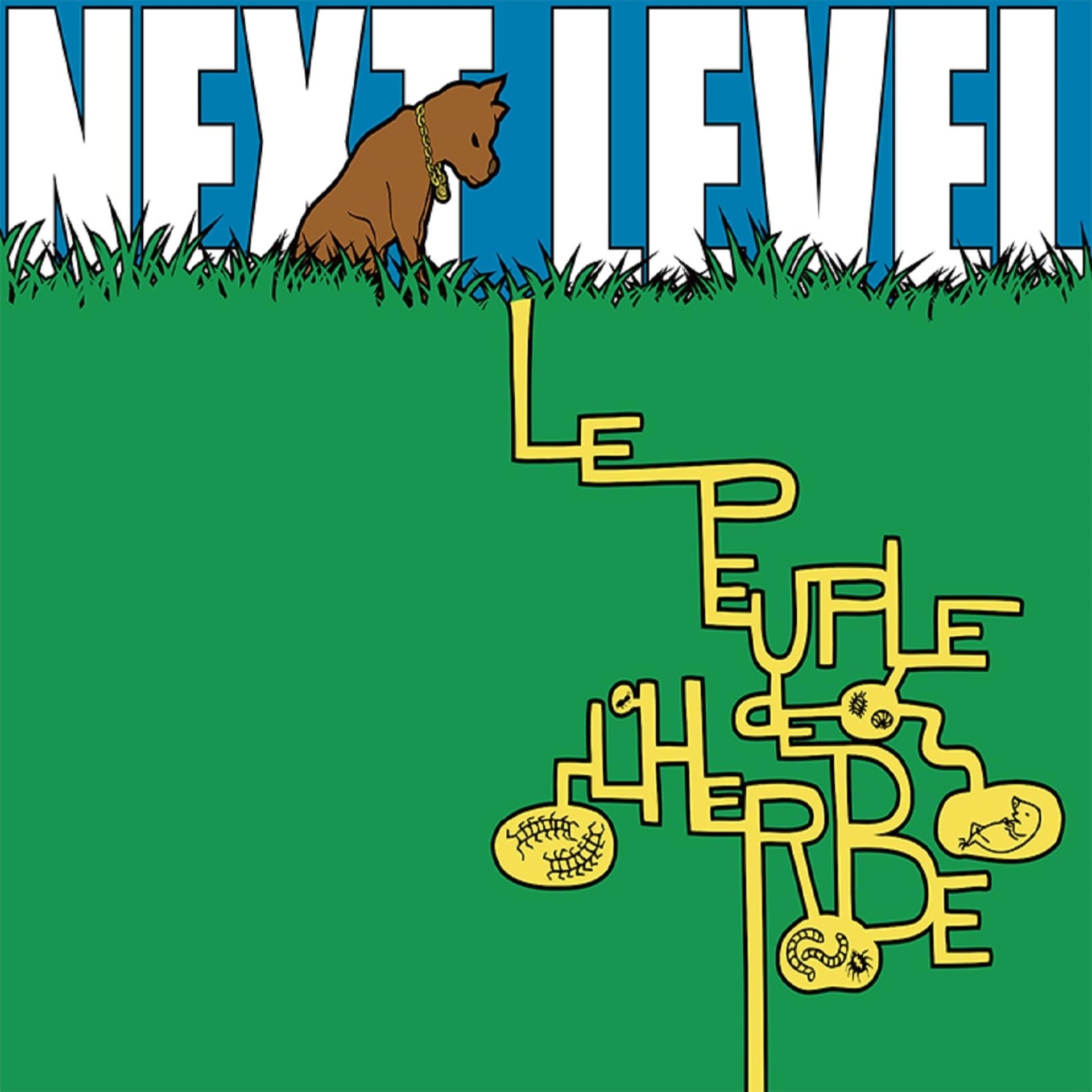 Постер альбома Next Level