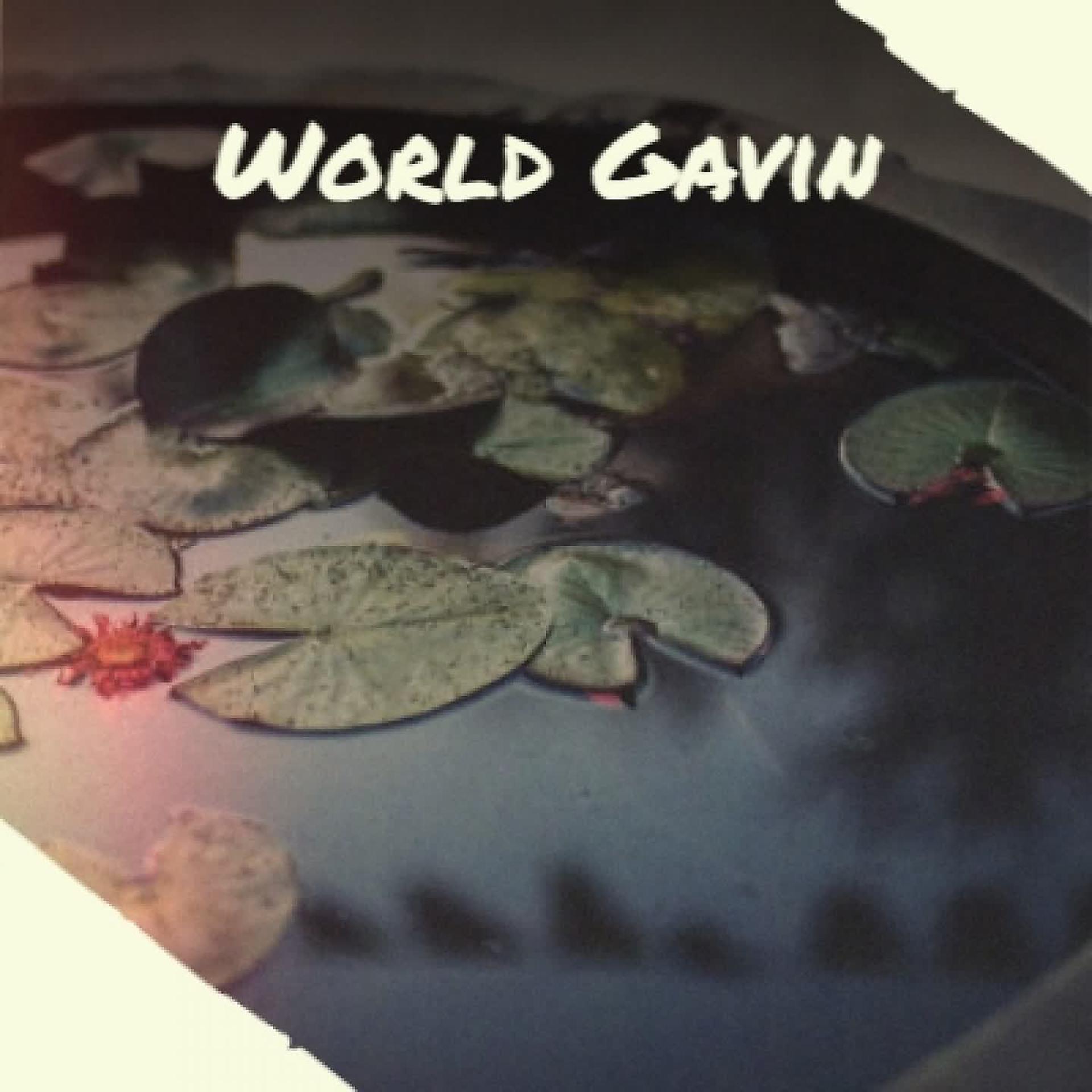 Постер альбома World Gavin