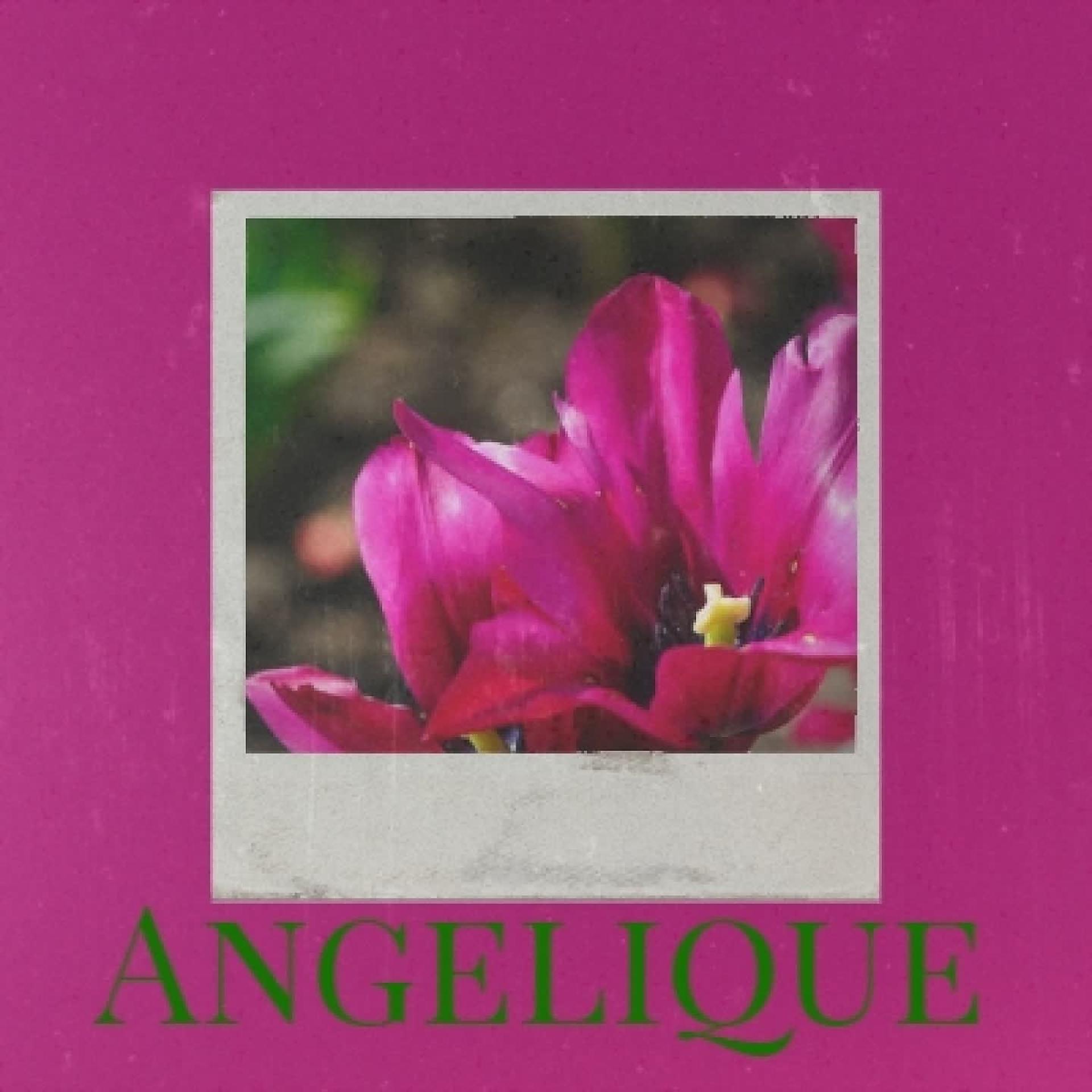 Постер альбома Angelique