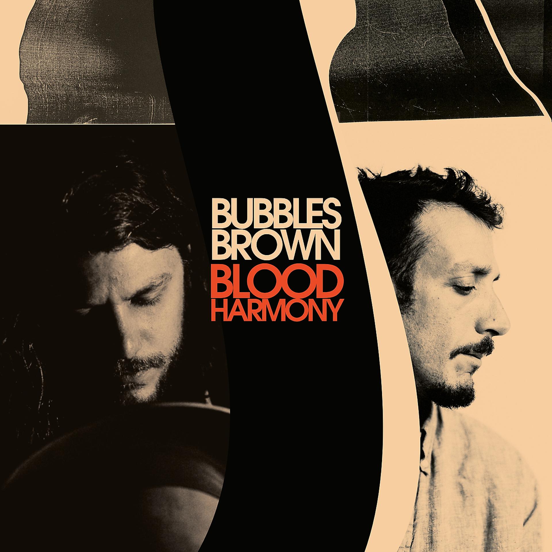 Постер альбома Blood Harmony