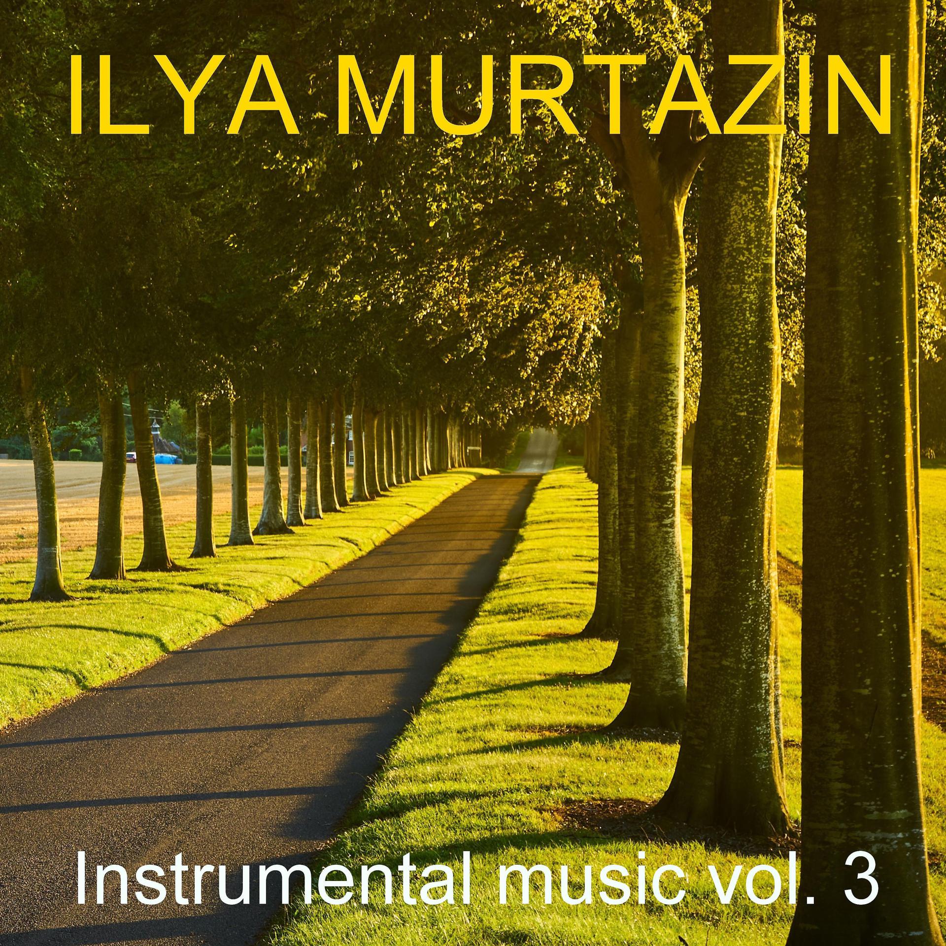Постер альбома Instrumental Music, Vol. 3