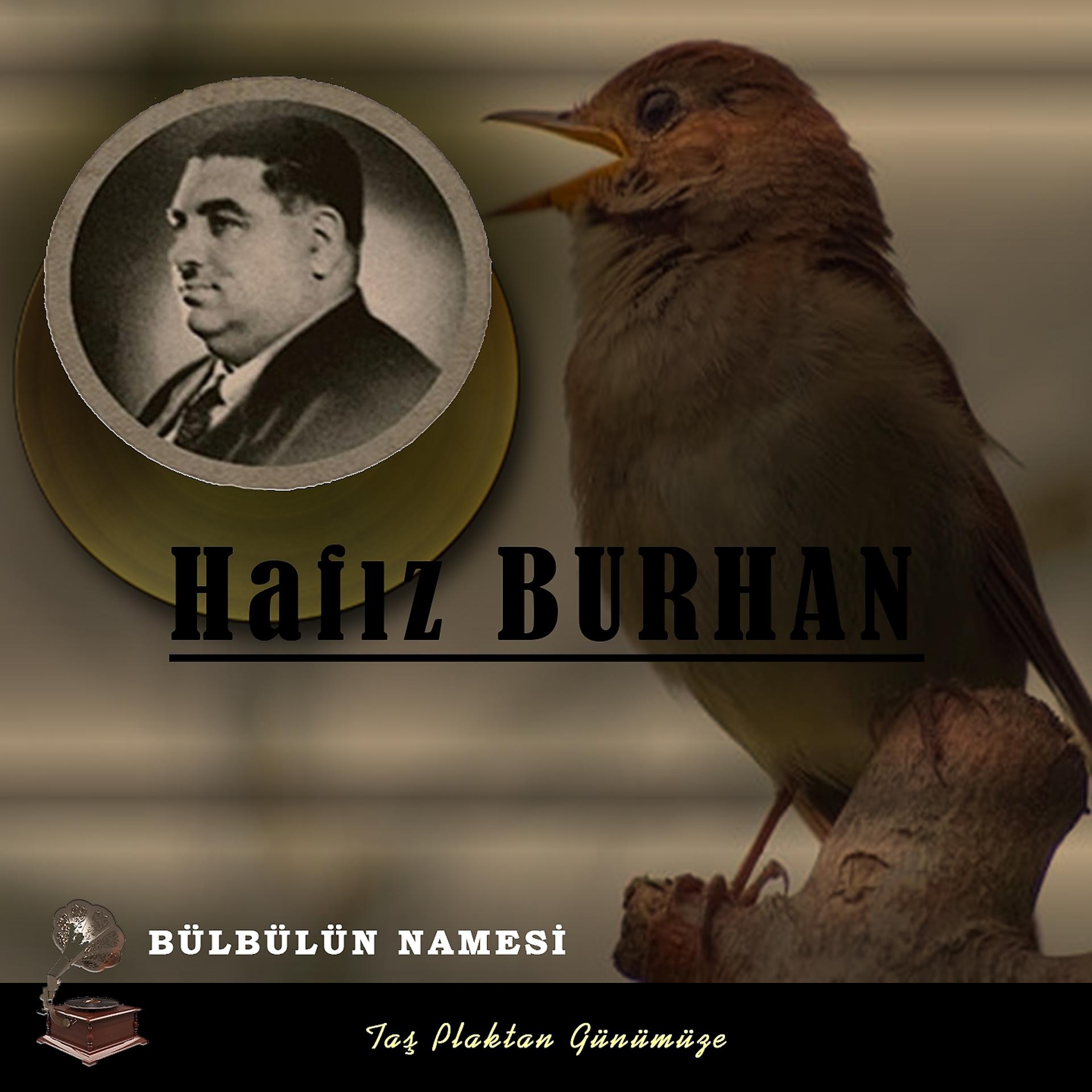 Постер альбома Bülbülün Namesi