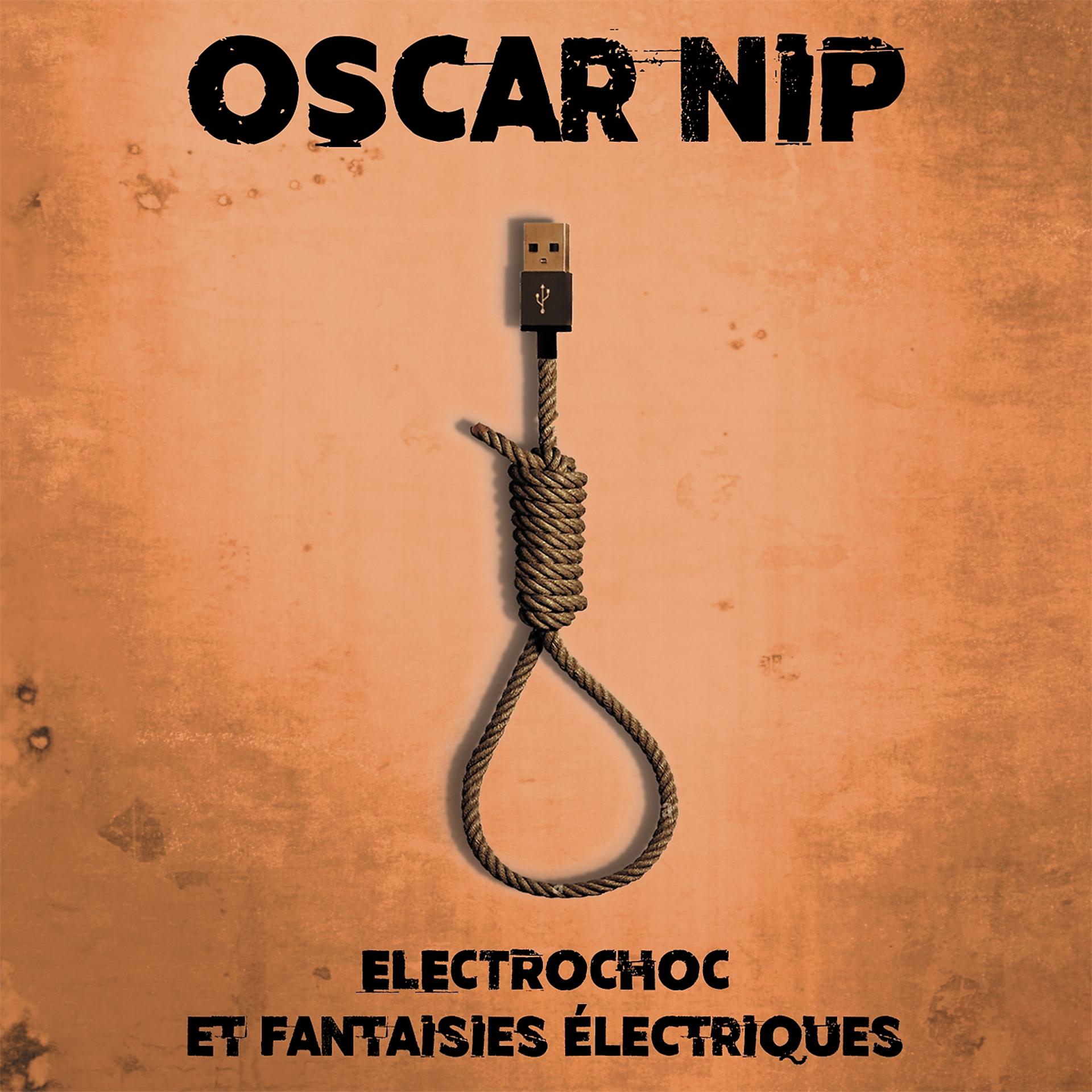 Постер альбома Electrochoc et fantaisies électriques