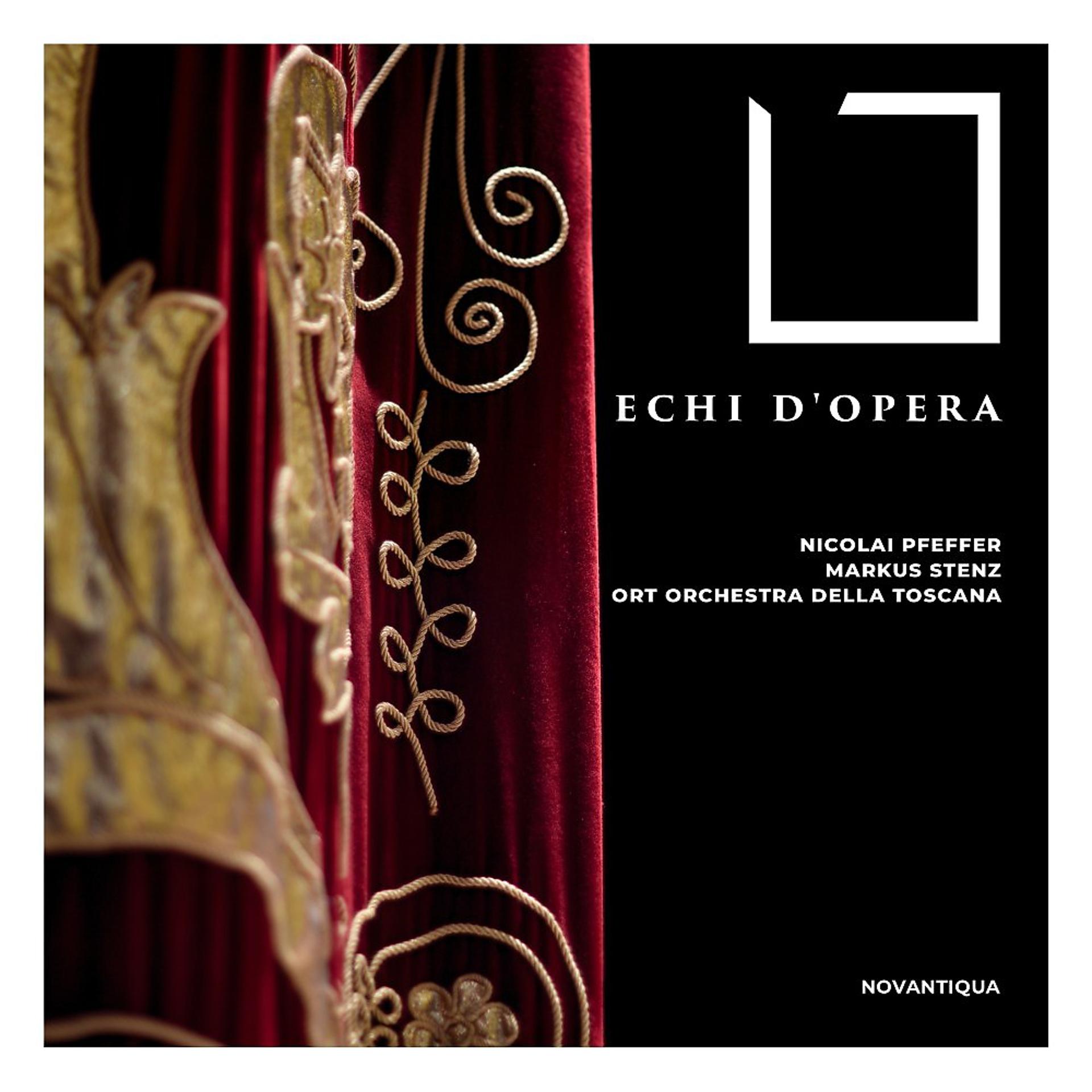 Постер альбома Echi D'opera
