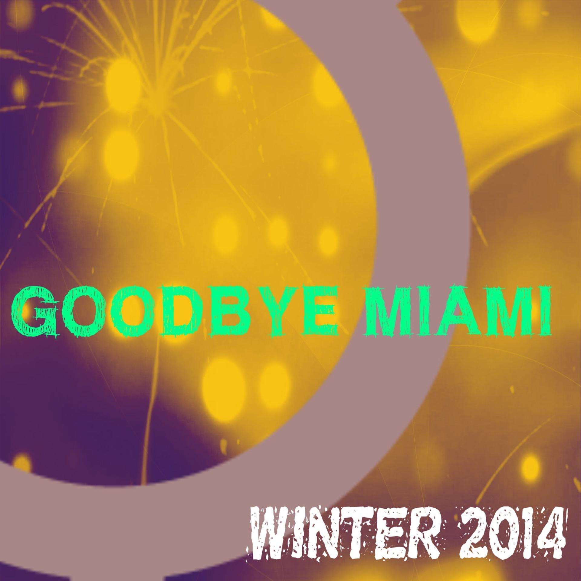 Постер альбома Goodbye Miami Winter 2014 (100 Essential Top Hits EDM for DJ)