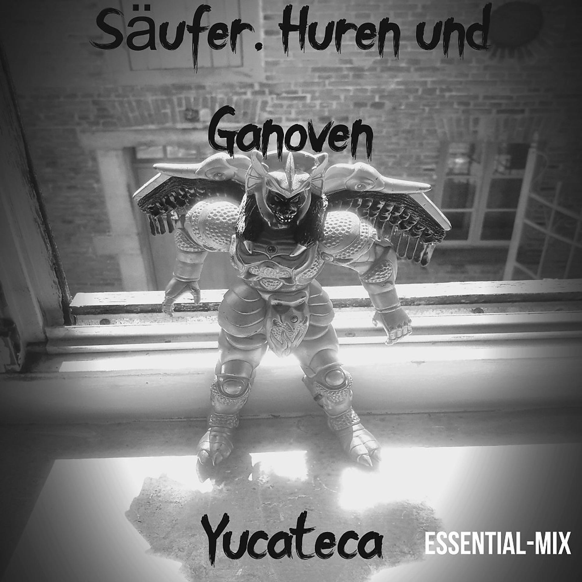 Постер альбома Yucateca (Essential-Mix)