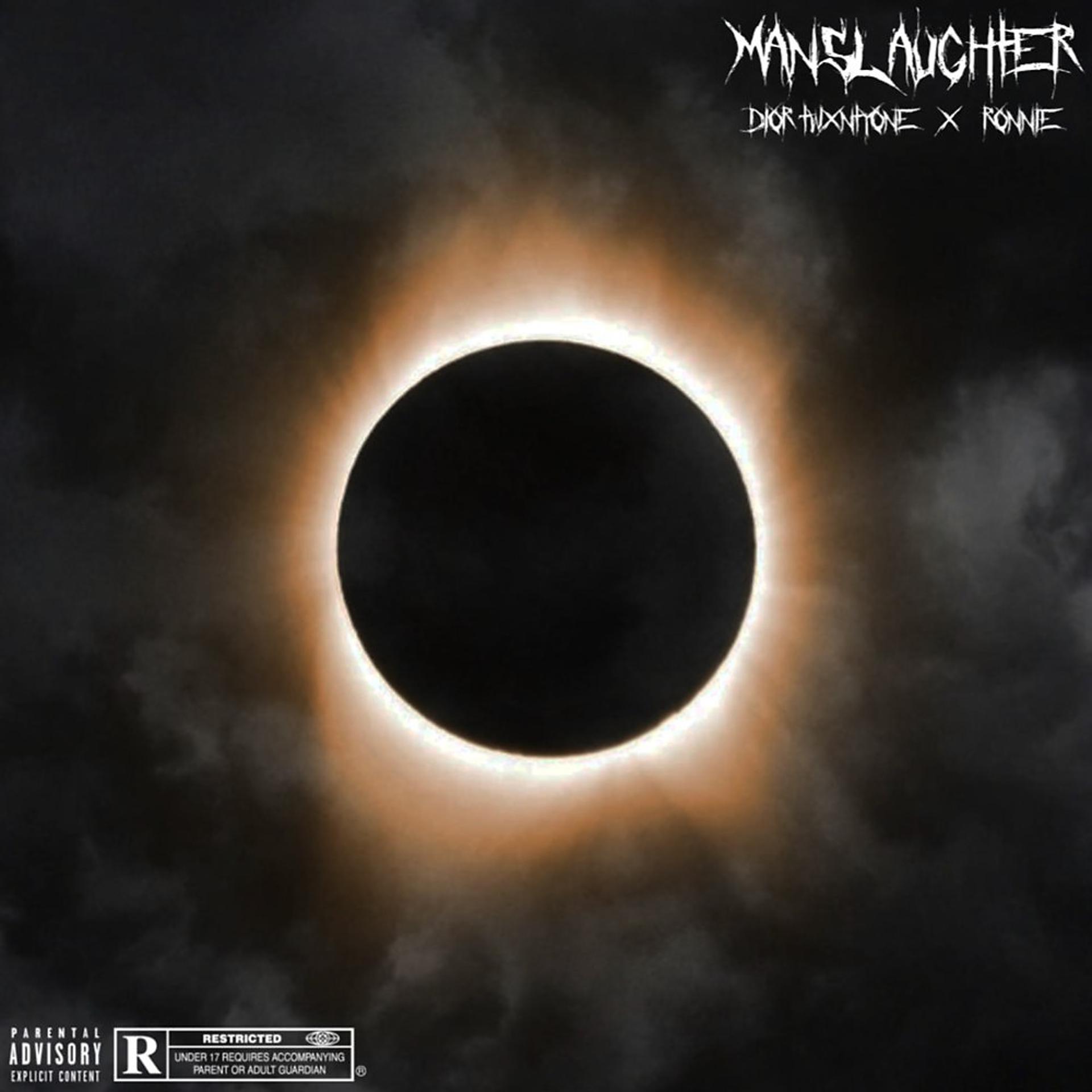 Постер альбома Manslaughter