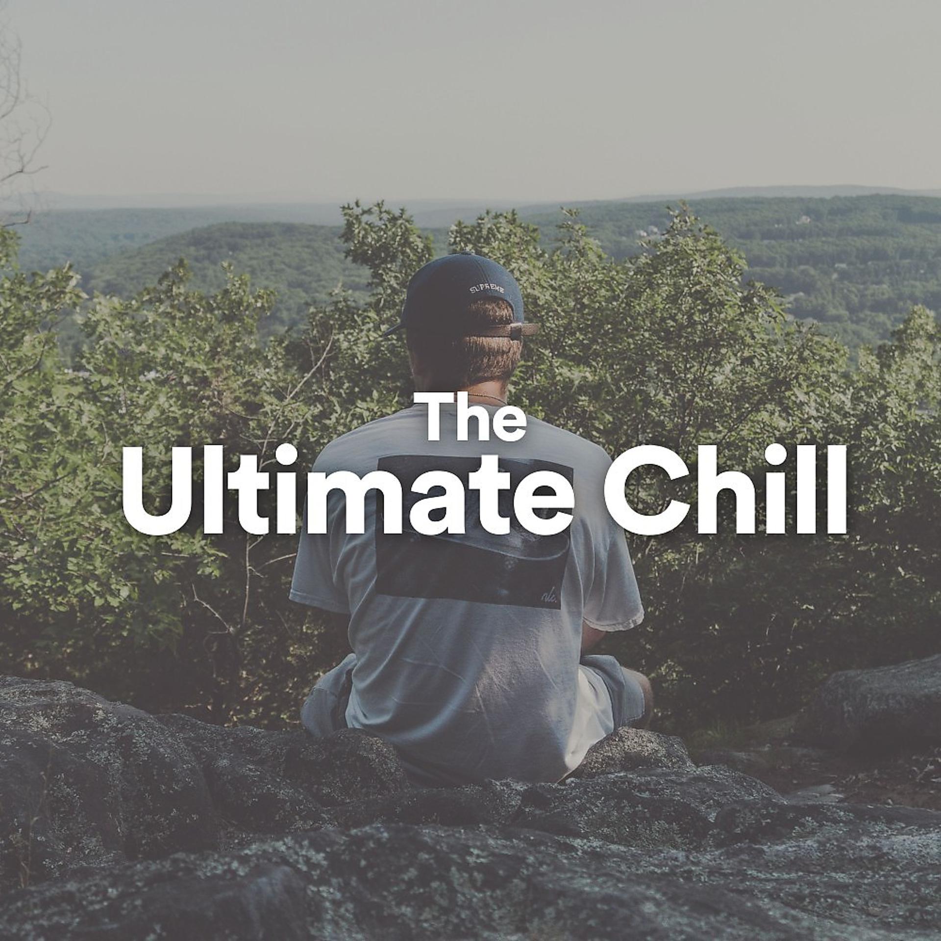 Постер альбома The Ultimate Chill