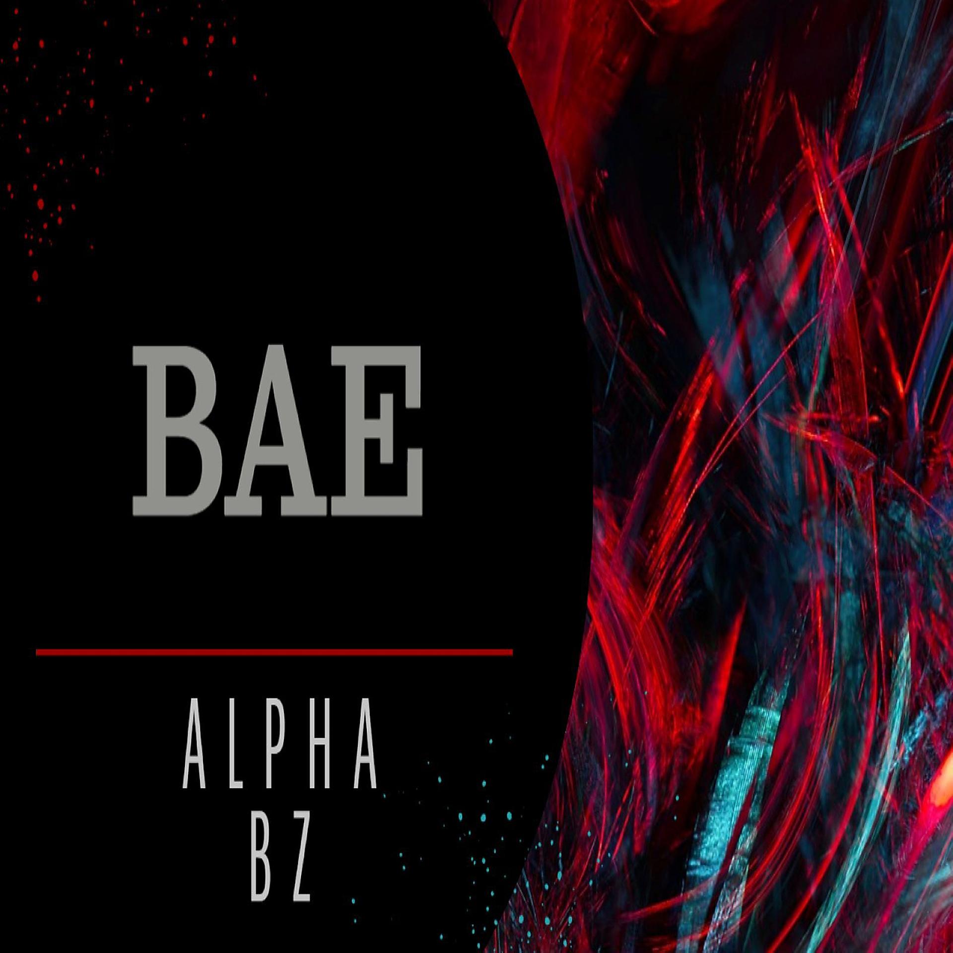 Постер альбома Bae