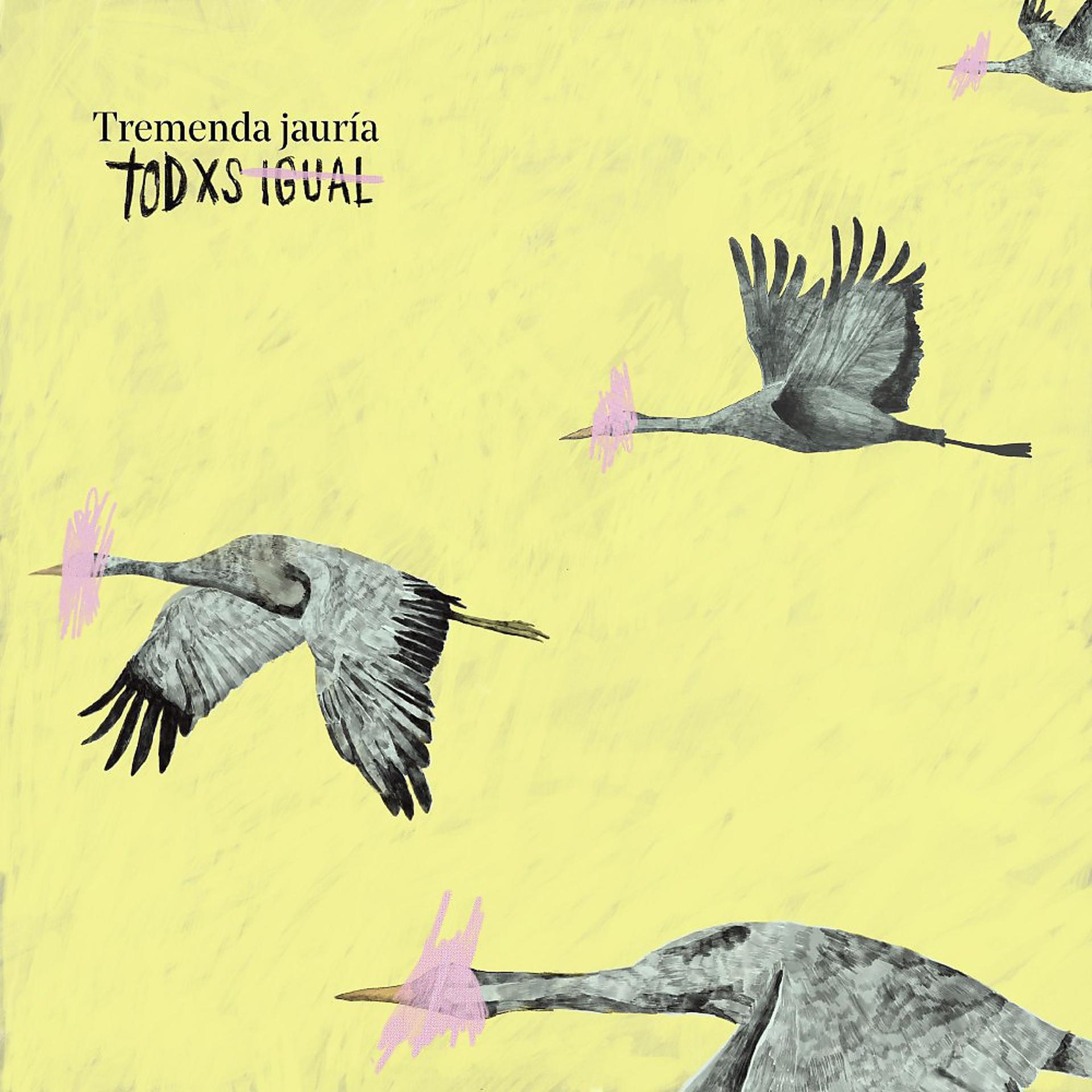 Постер альбома Todxs Igual