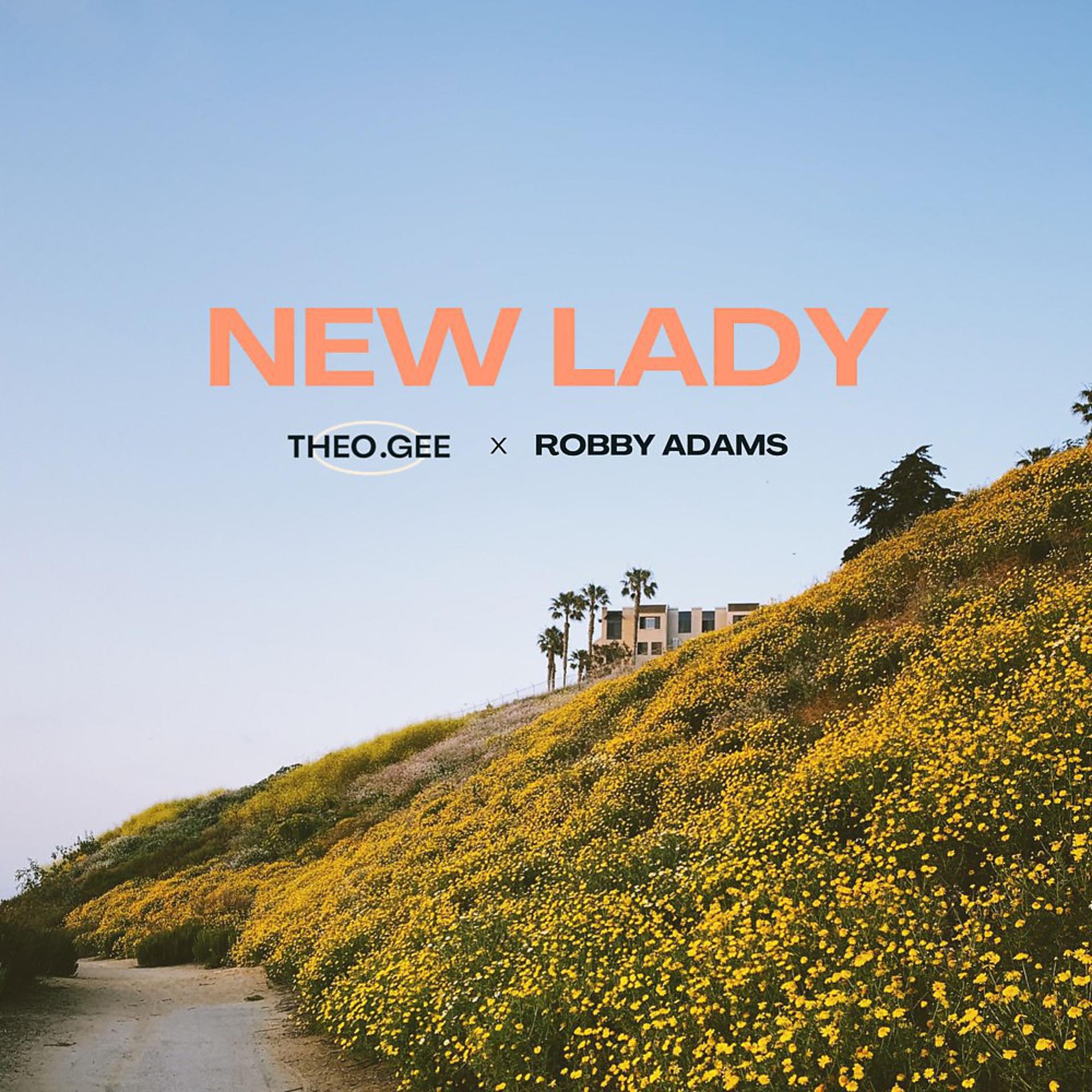 Постер альбома New Lady
