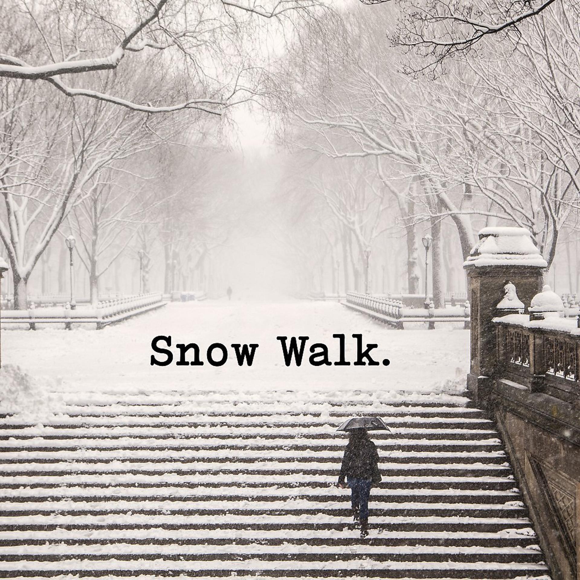 Постер альбома Snow Walk