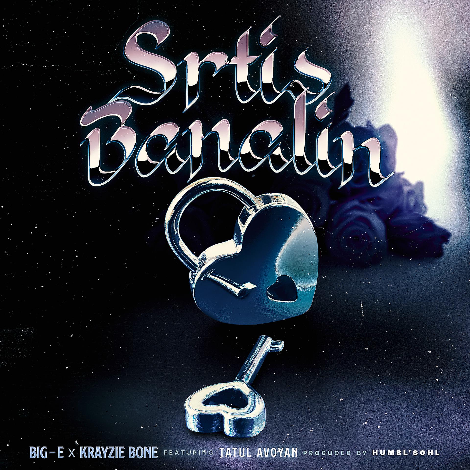 Постер альбома Srtis Banalin