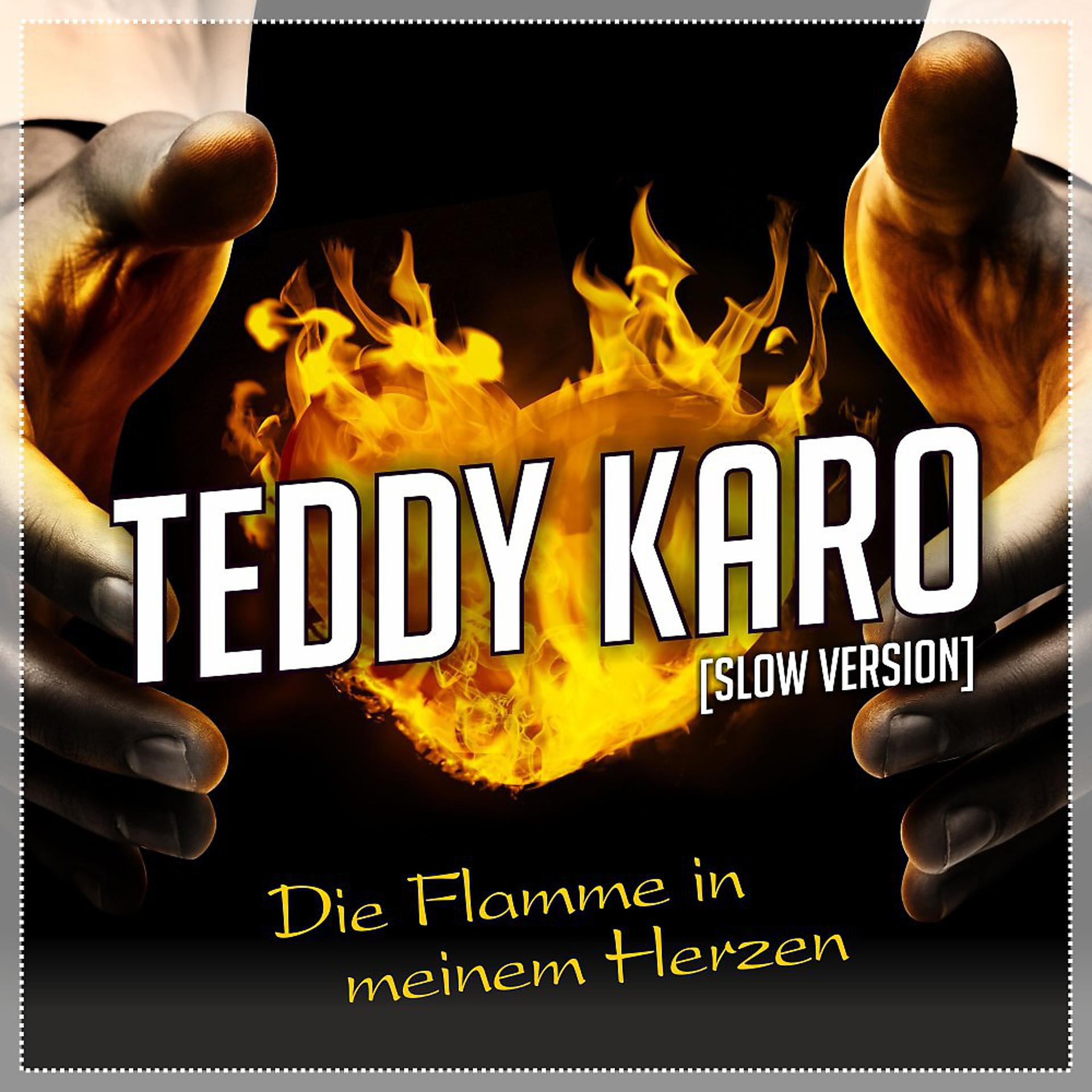 Постер альбома Die Flamme in meinem Herzen (Slow Version)