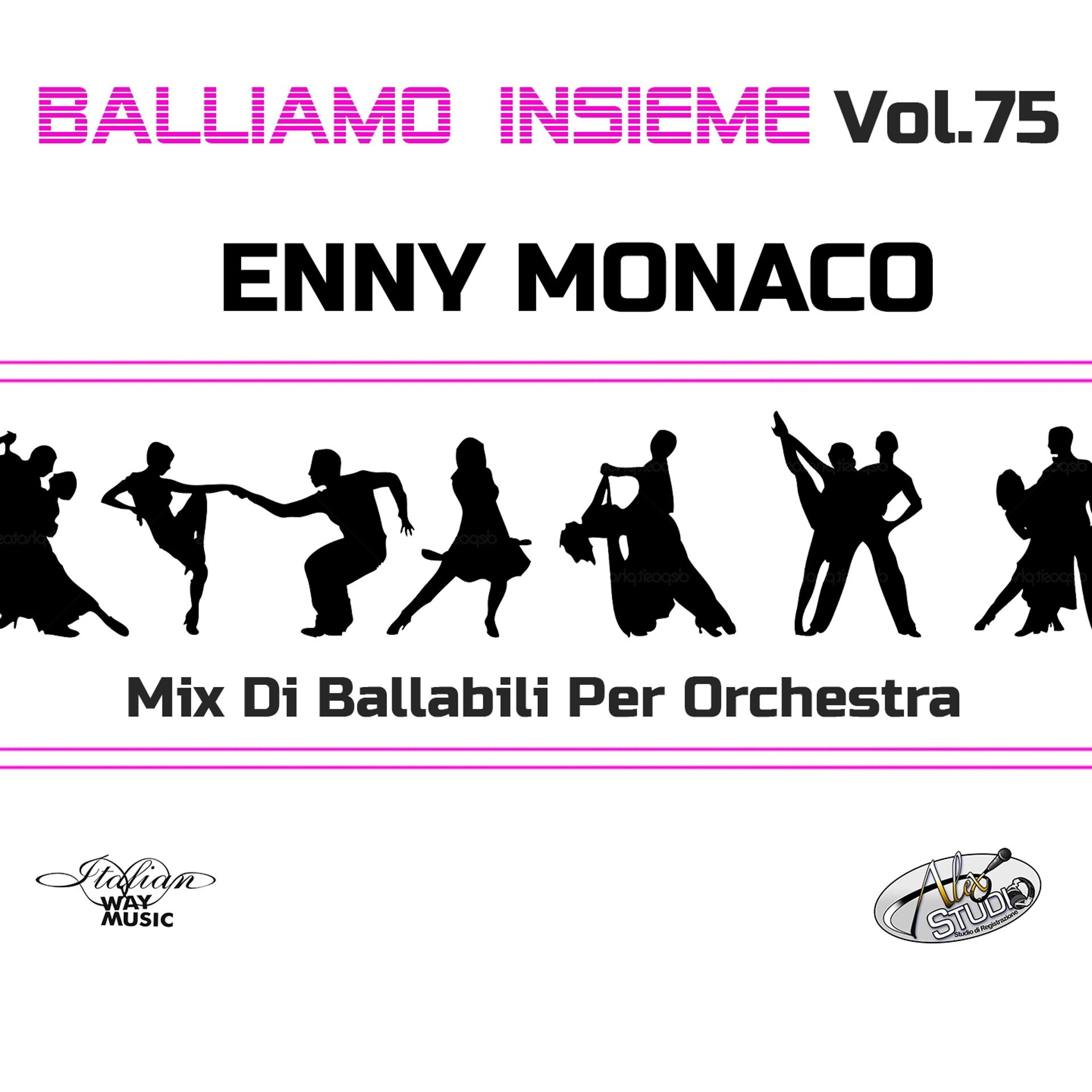 Постер альбома Balliamo insieme, Vol. 75 (Mix di ballabili per orchestra)