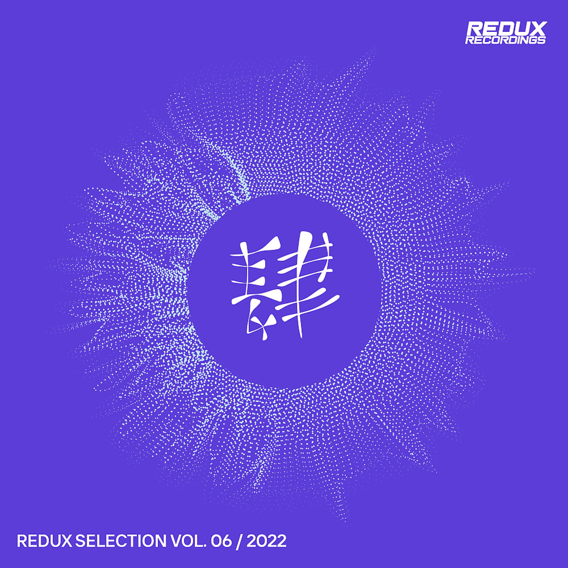 Постер альбома Redux Selection, Vol. 6 / 2022