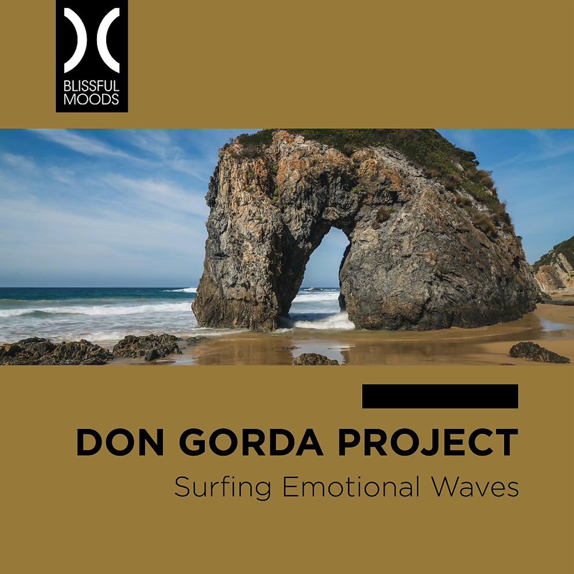 Постер альбома Surfing Emotional Waves