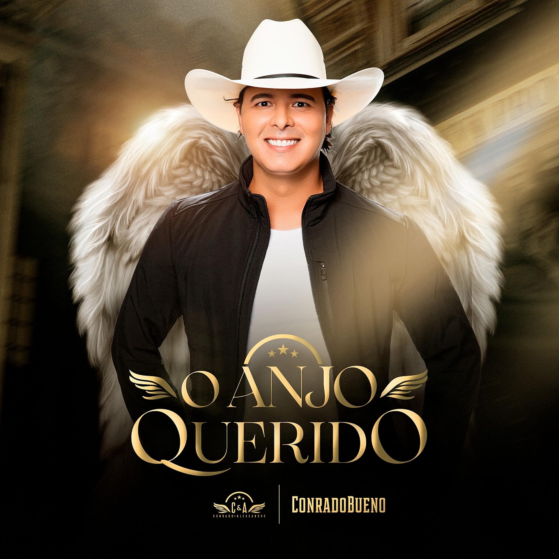 Постер альбома O Anjo Querido