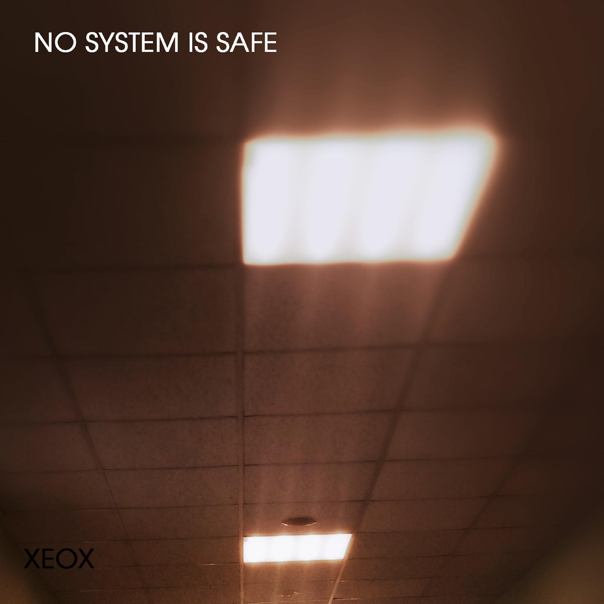 Постер альбома No System Is Safe