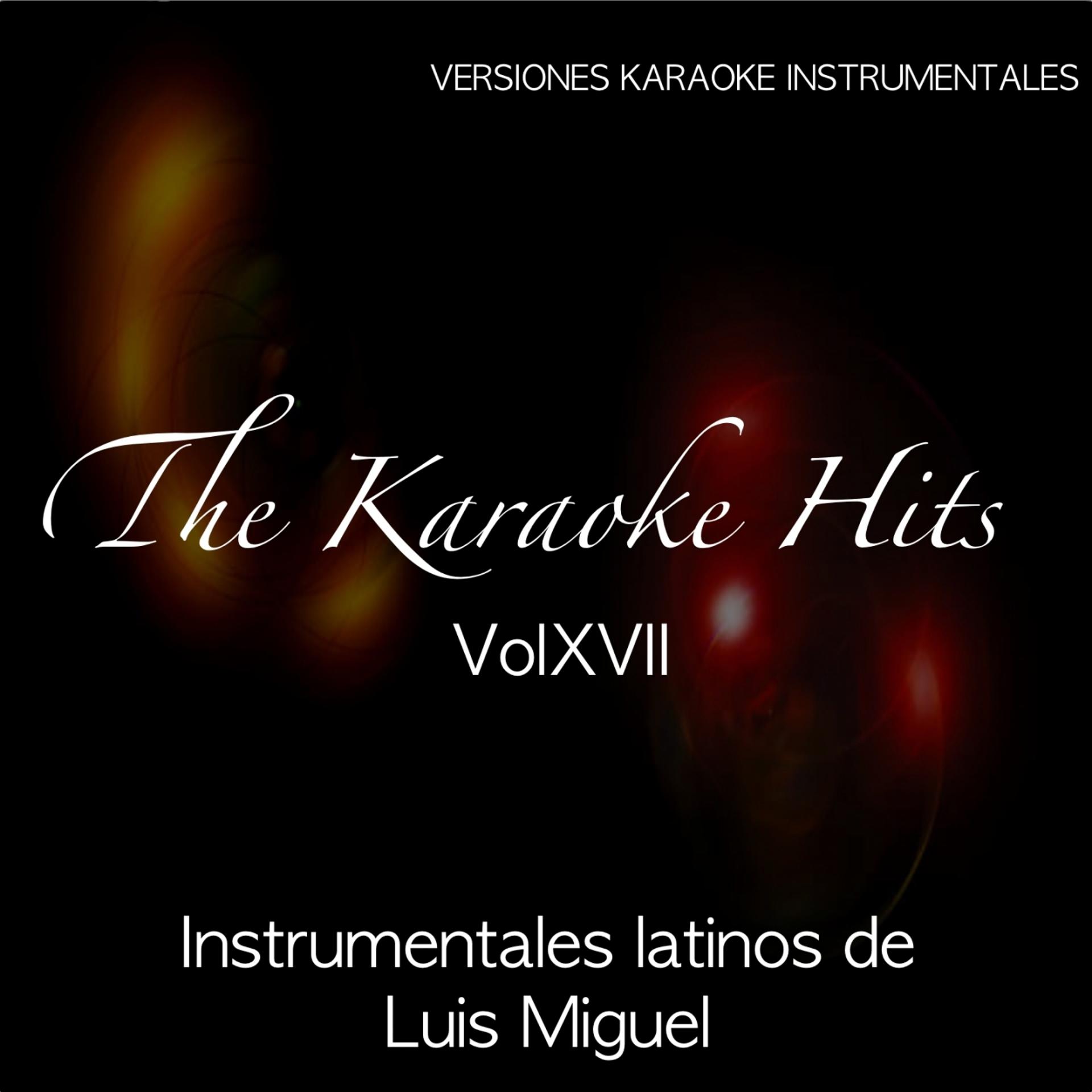 Постер альбома The Karaoke Hits Vol. 17: Hits Latinos (Originally Performed By Luis Miguel)
