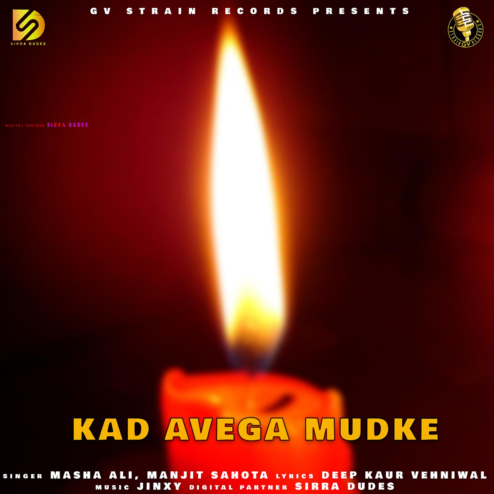 Постер альбома Kad Avega Mudke