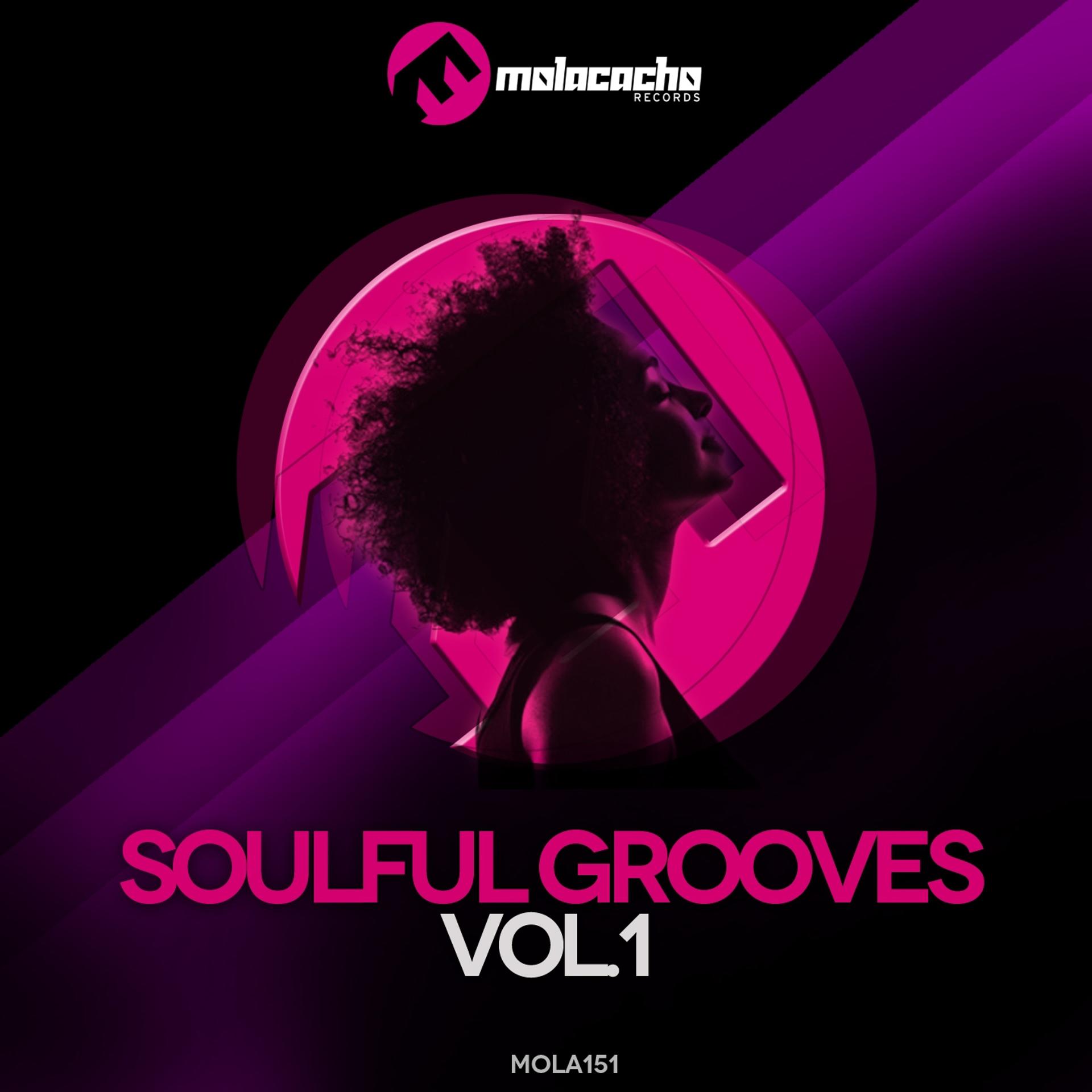 Постер альбома Soulful Grooves, Vol. 1