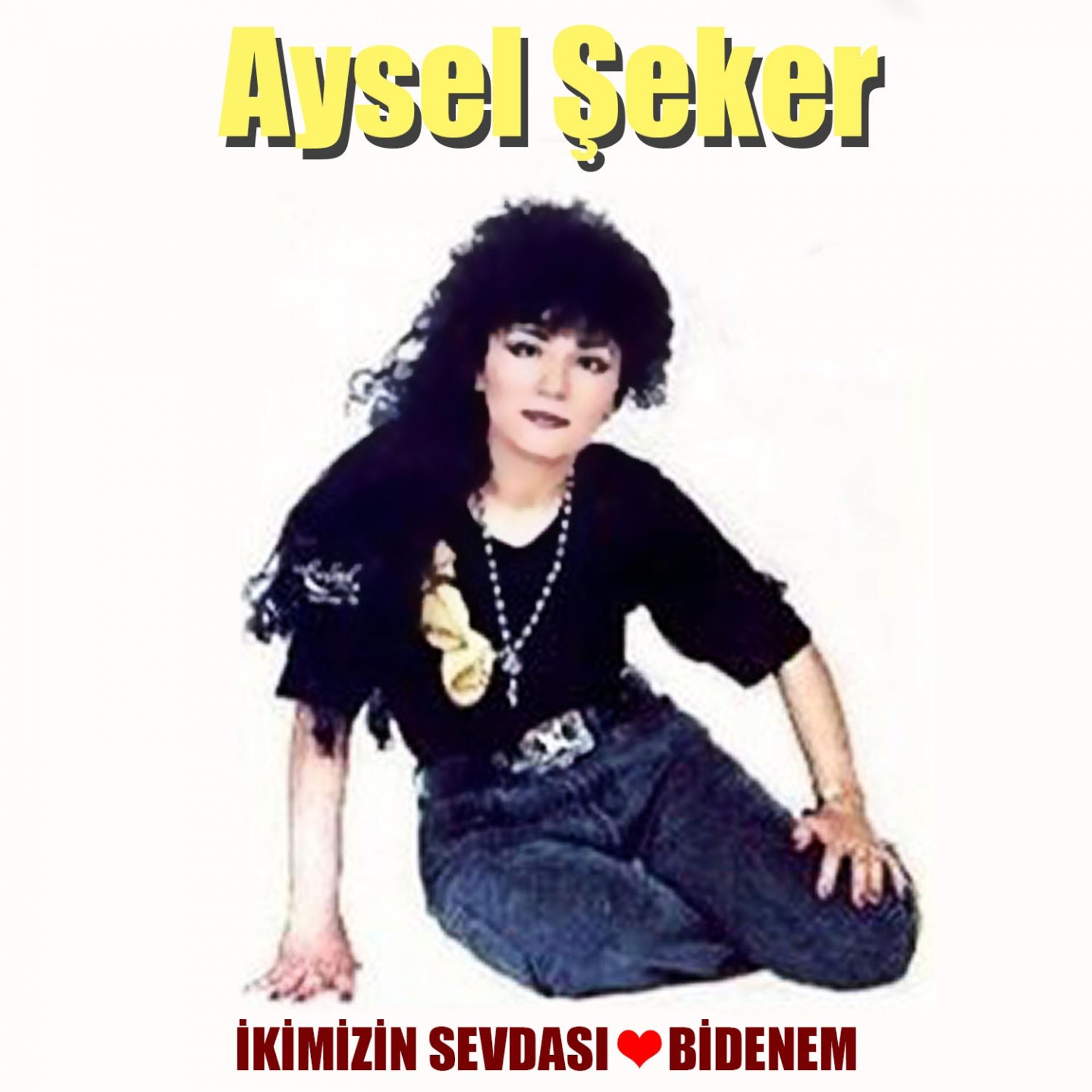 Постер альбома İkimizin Sevdası / Bidenem