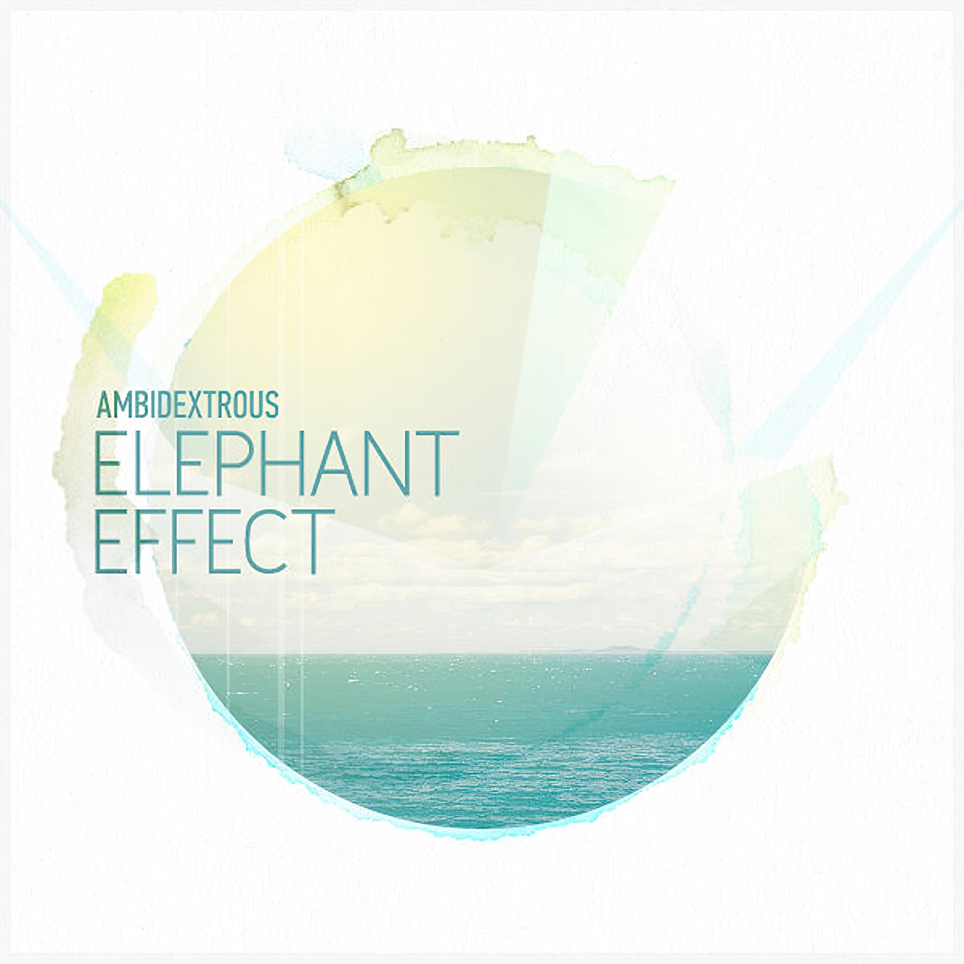 Постер альбома Elephant Effect