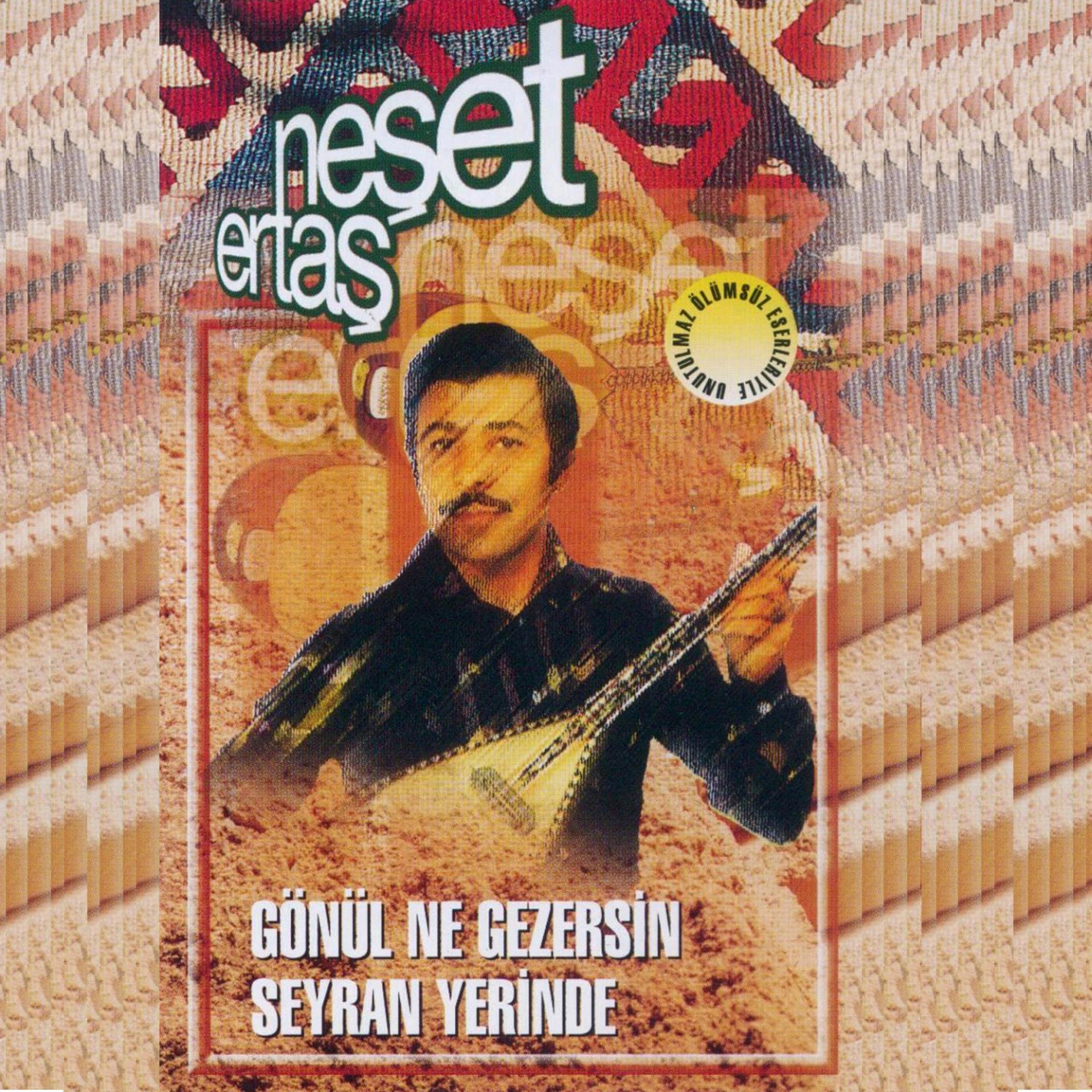 Постер альбома Gönül Ne Gezersin Seyran Yerinde