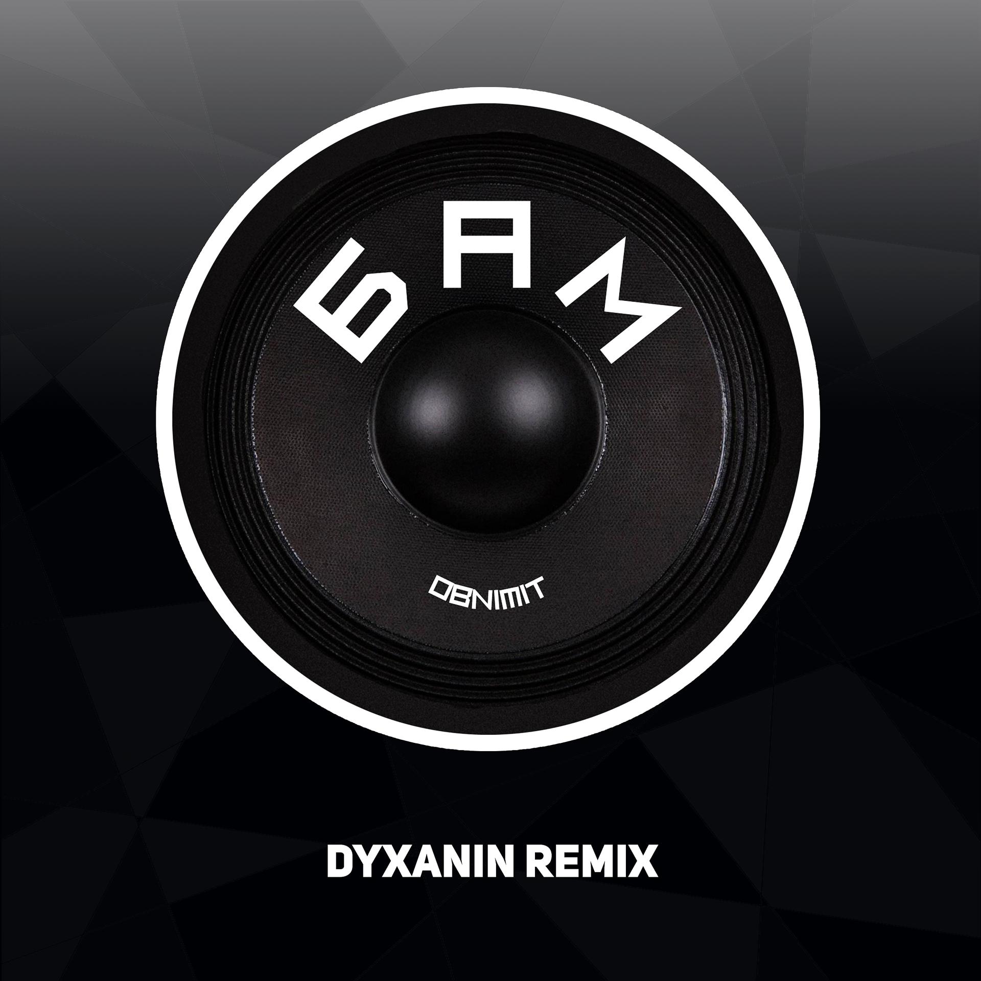 Постер альбома Бам (Dyxanin Remix)