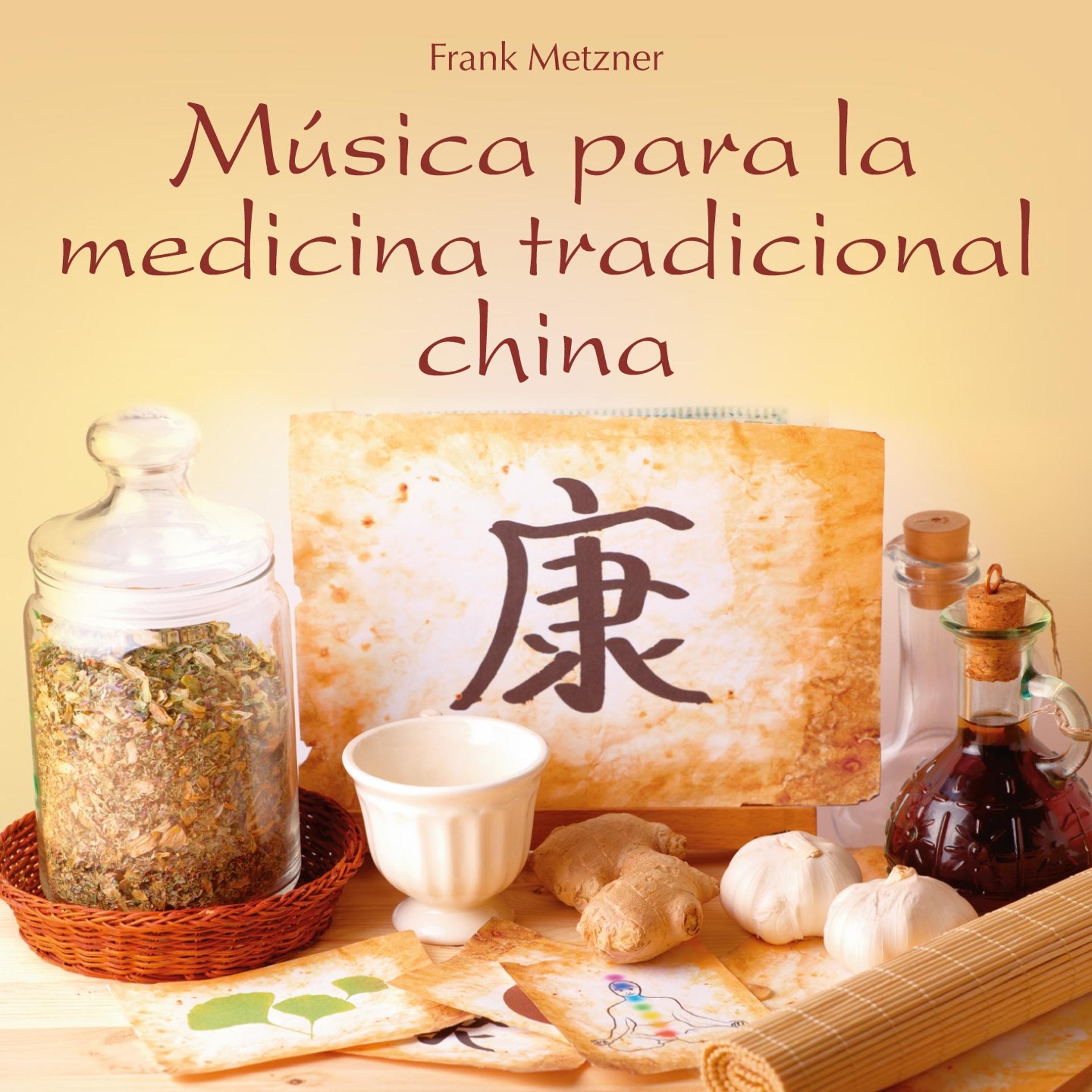Постер альбома Música para la Medicina Tradicional China