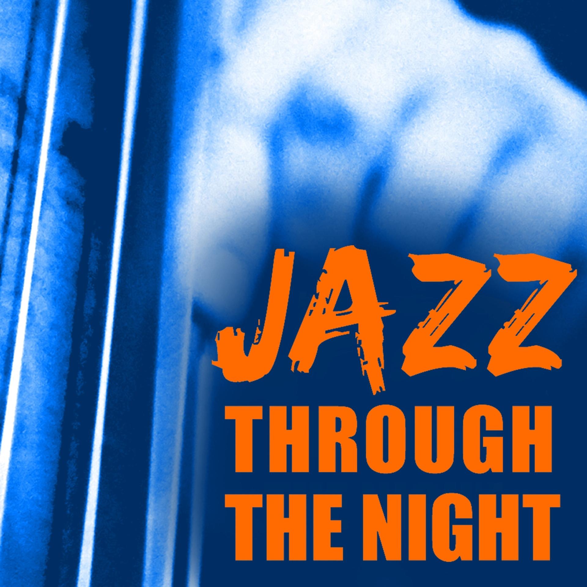 Постер альбома Jazz Through the Night