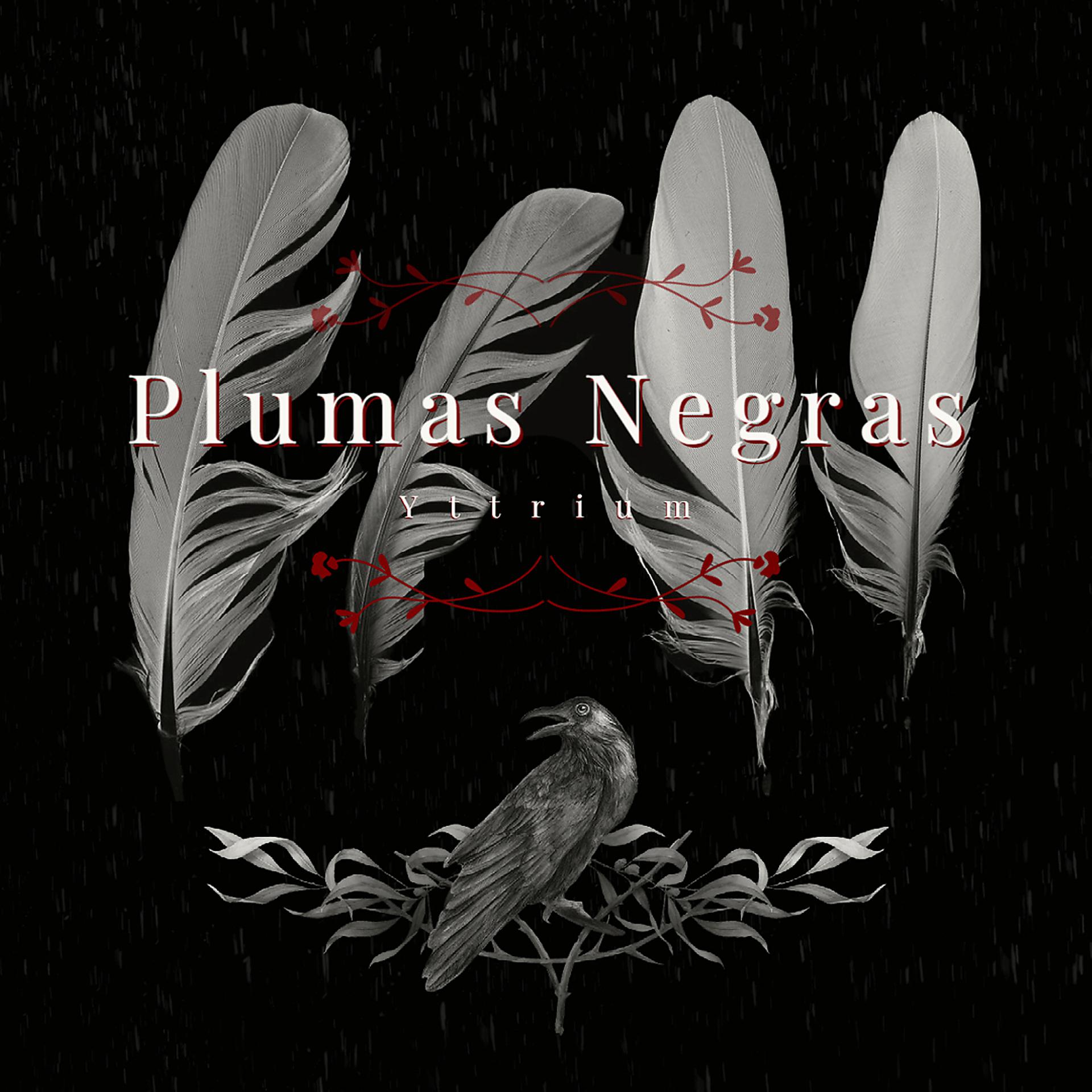 Постер альбома Plumas Negras