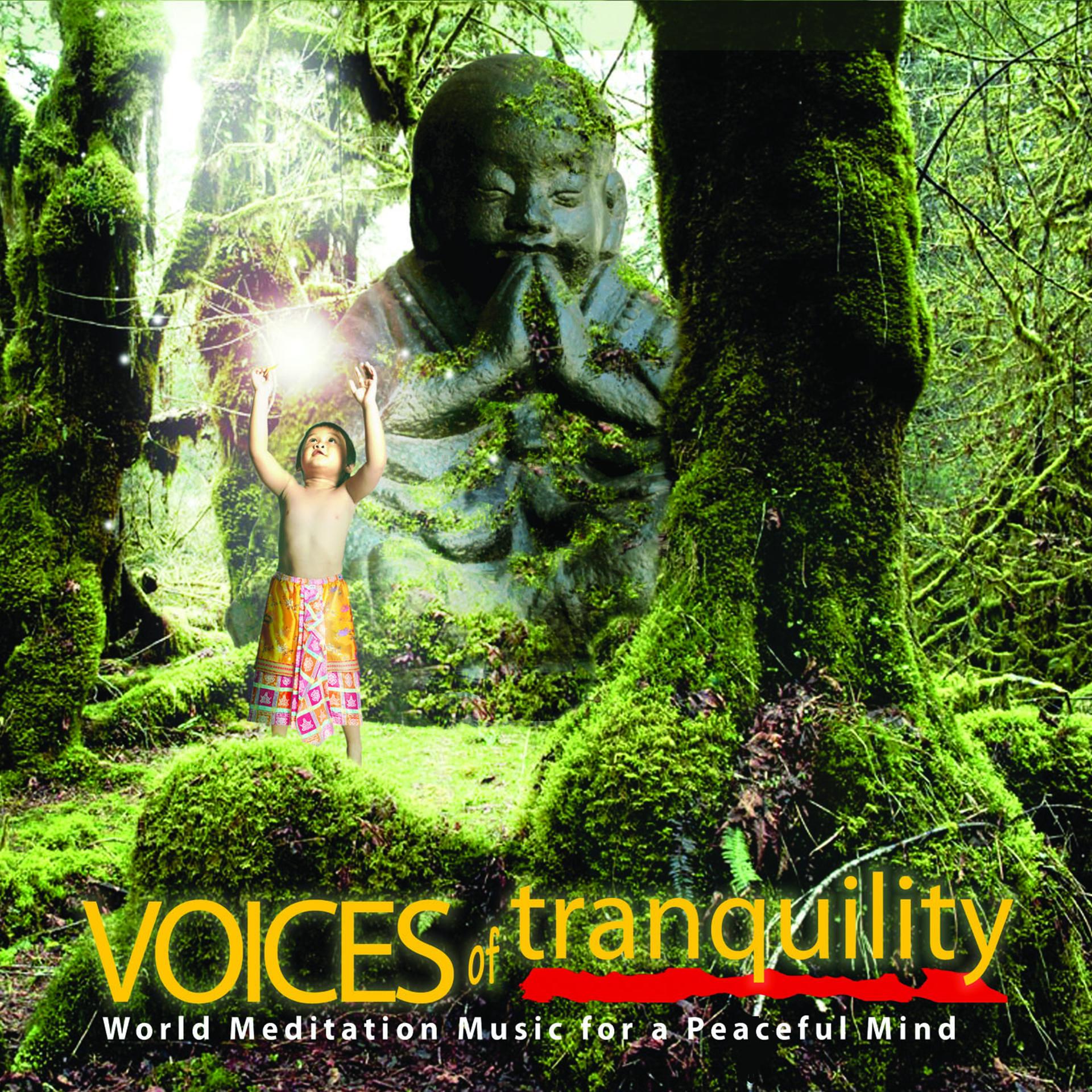 Постер альбома Voices of Tranquility