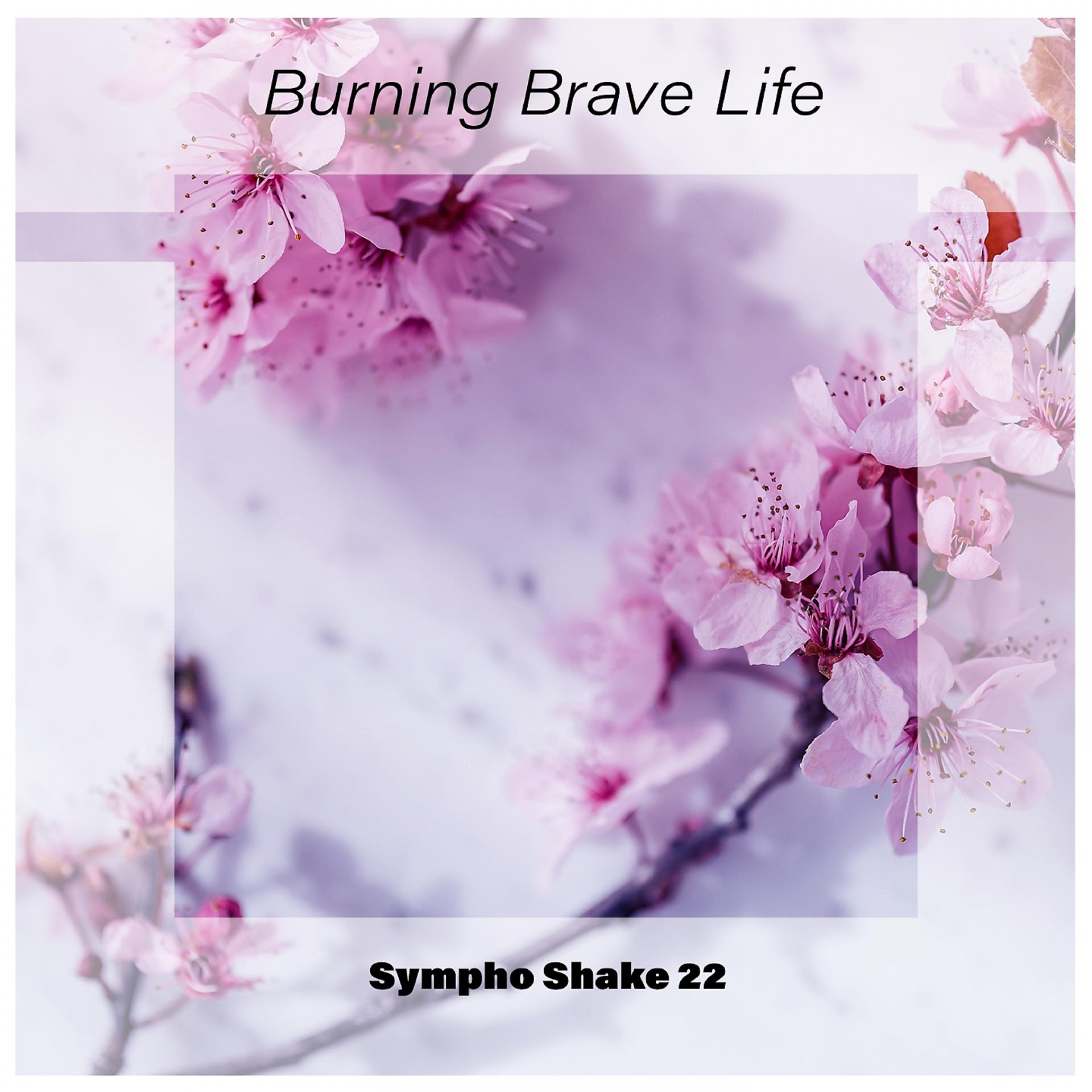 Постер альбома Burning Brave Life Sympho Shake 22