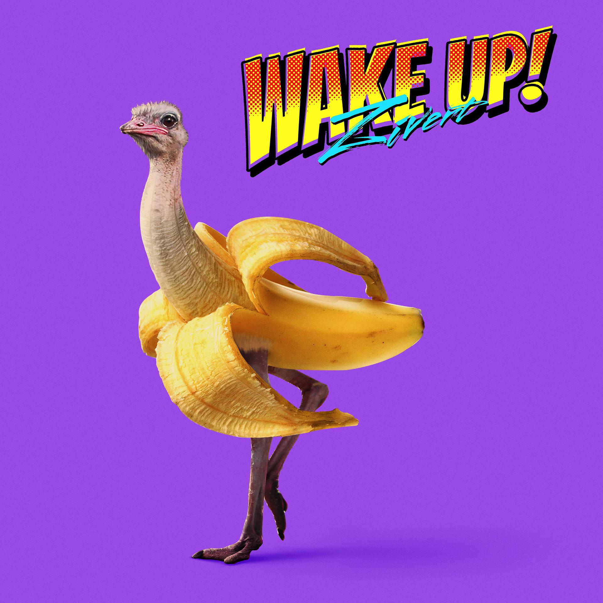 Постер альбома WAKE UP!