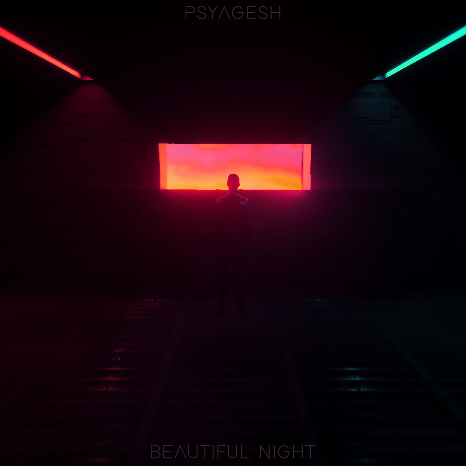 Постер альбома Beautiful Night