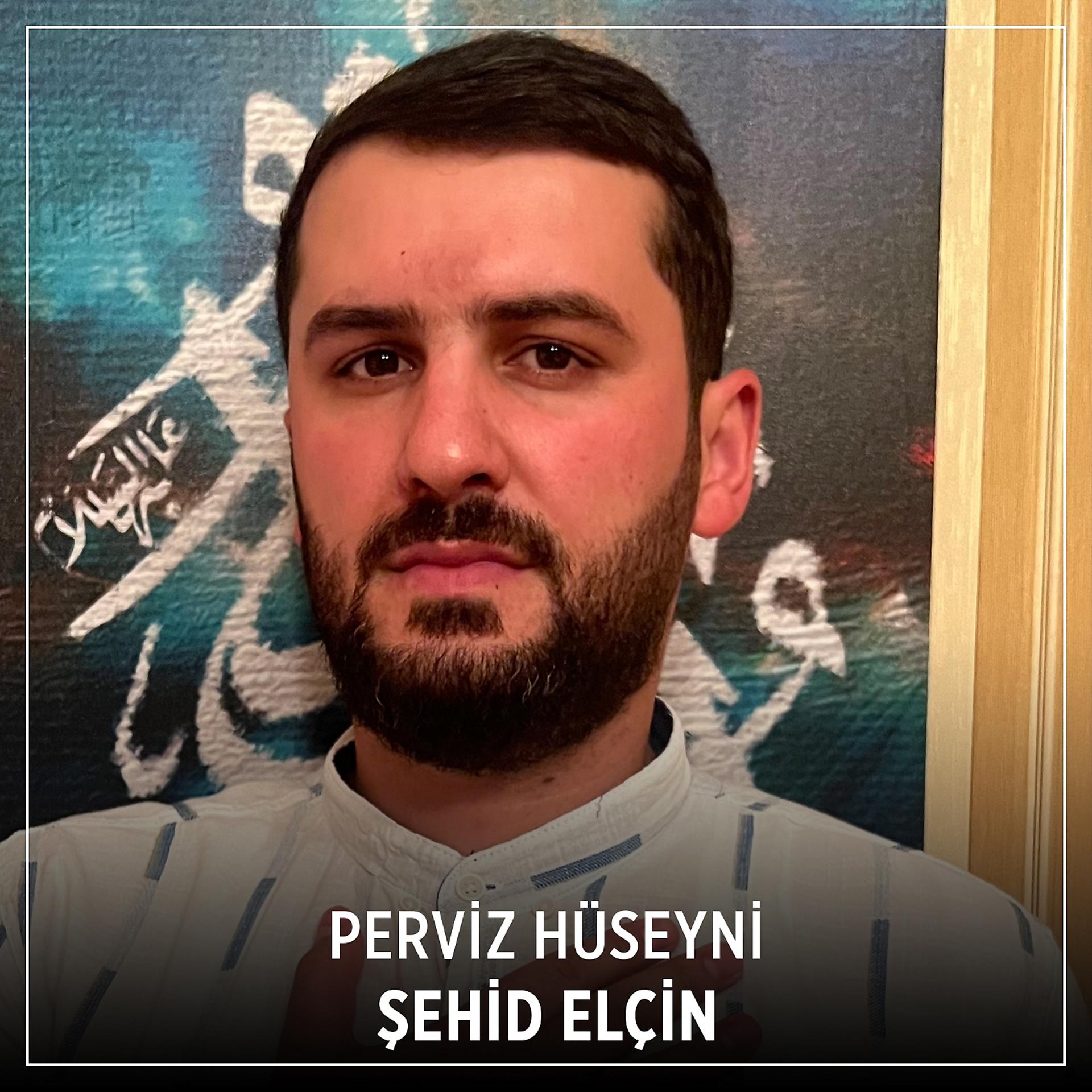Постер альбома Şehid Elçin