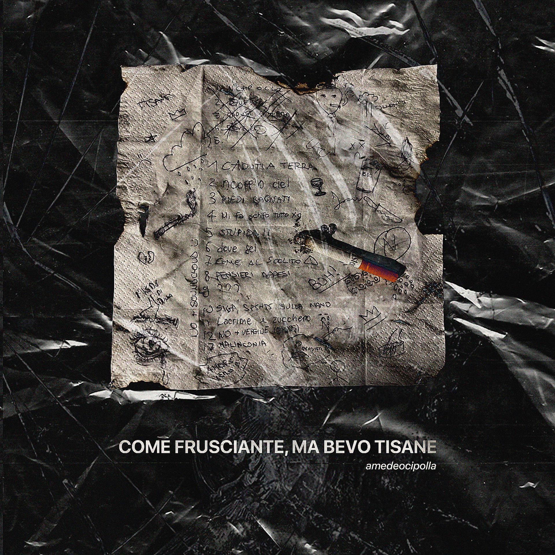Постер альбома come frusciante, ma bevo tisane