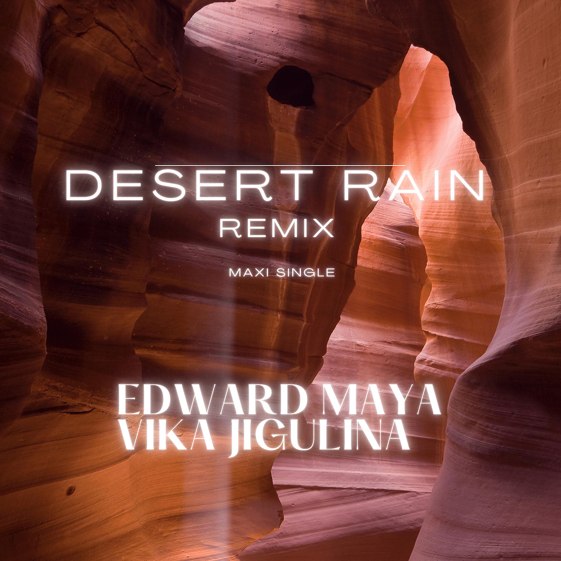 Постер альбома Desert Rain (Remix) [Maxi Single]