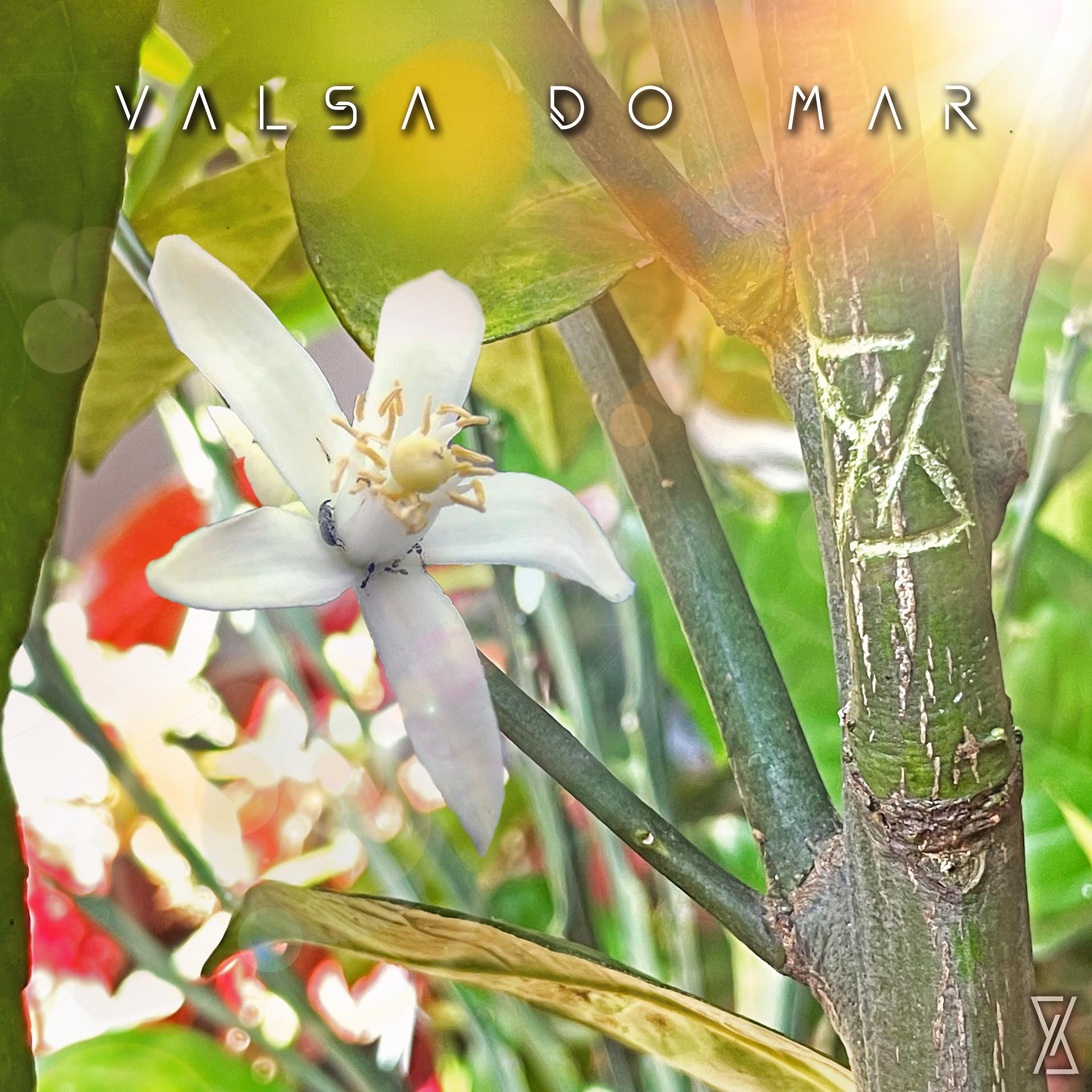 Постер альбома Valsa do Mar