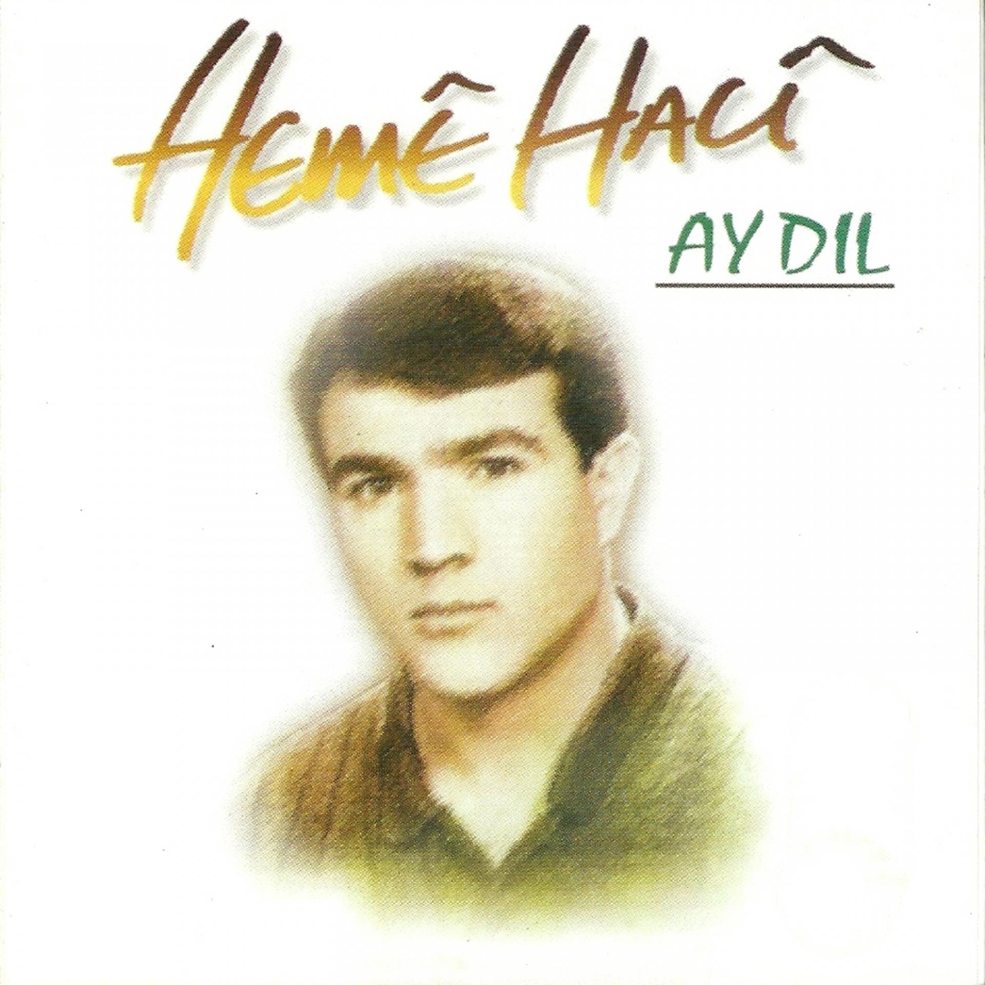 Постер альбома Ay Dıl
