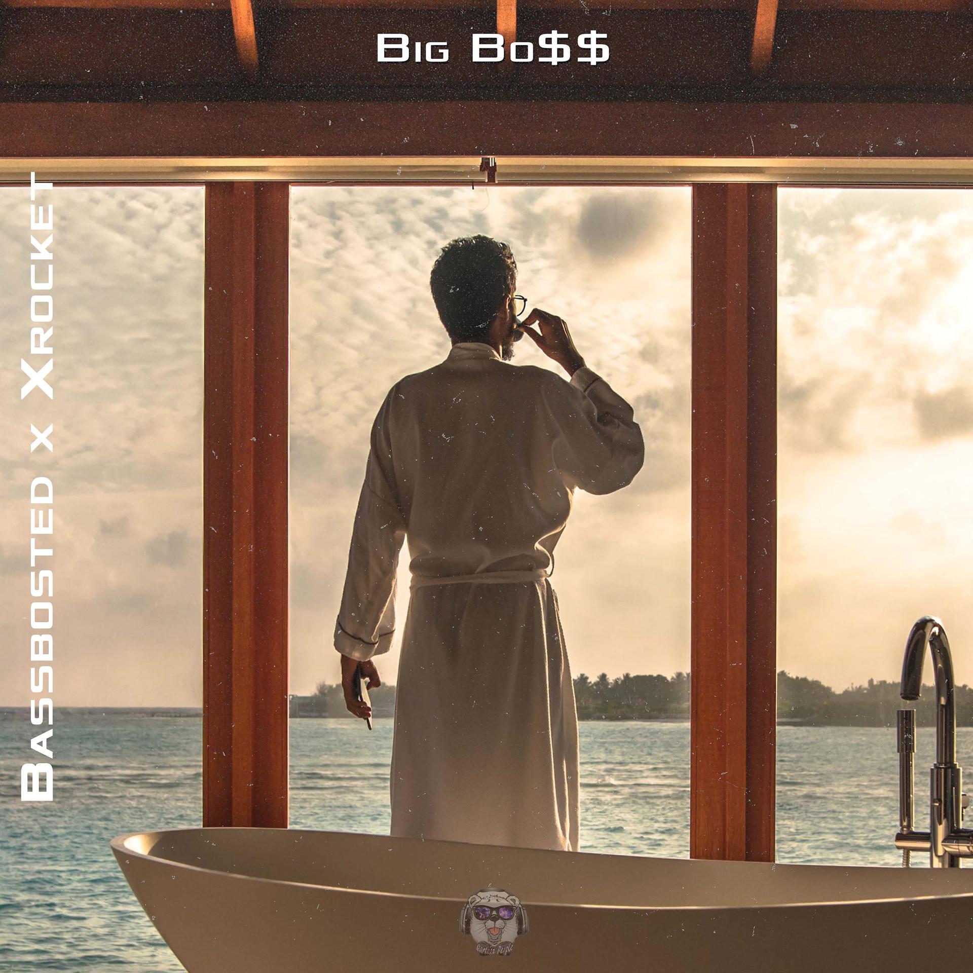 Постер альбома Big Bo$$