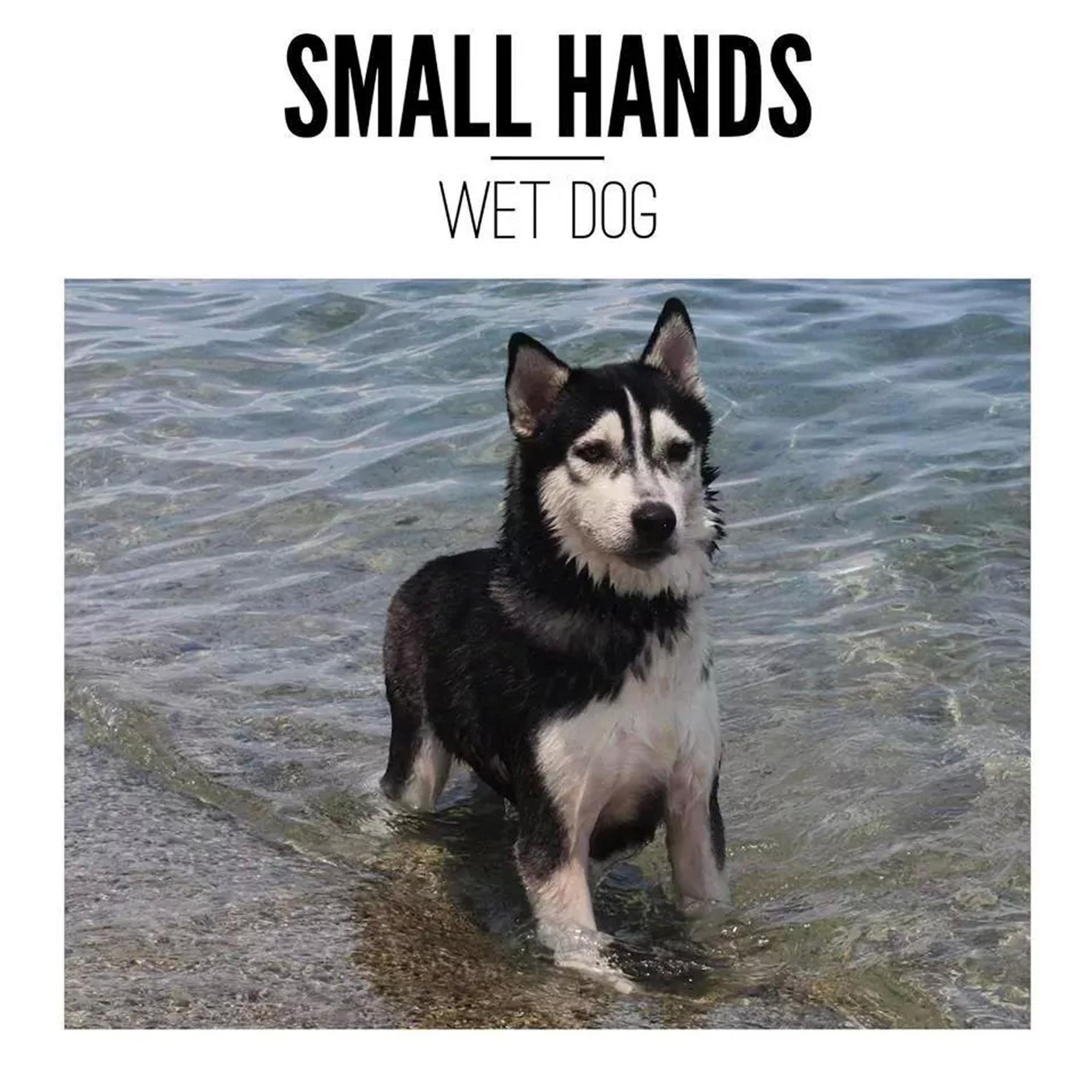 Постер альбома Wet Dog