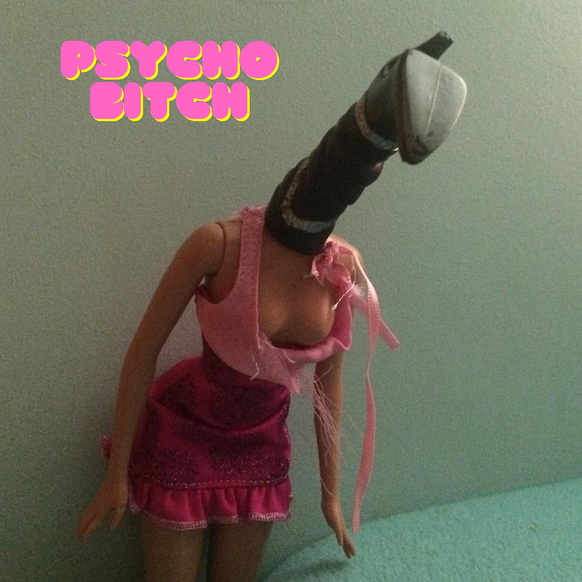 Постер альбома Psycho Bitch