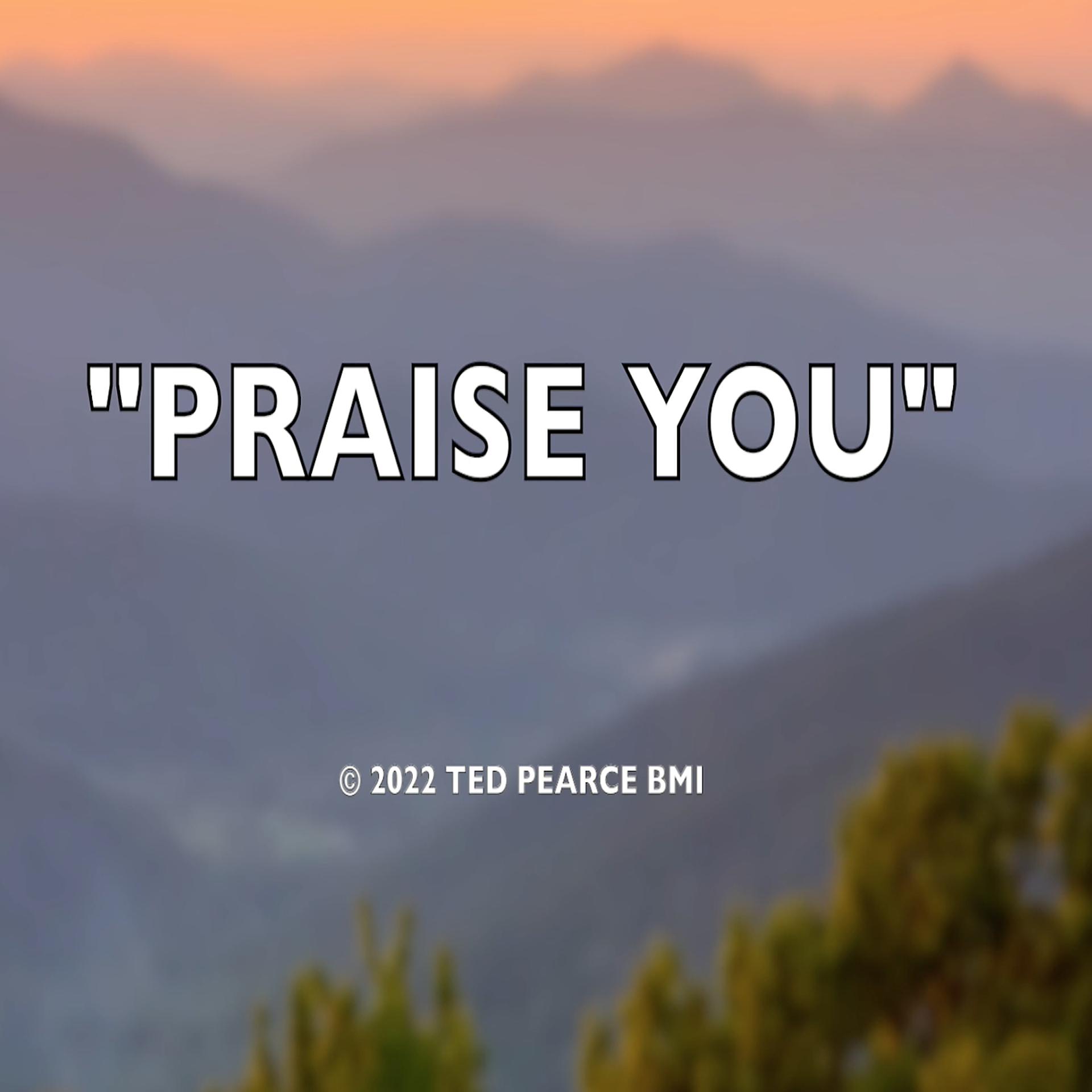 Постер альбома Praise You
