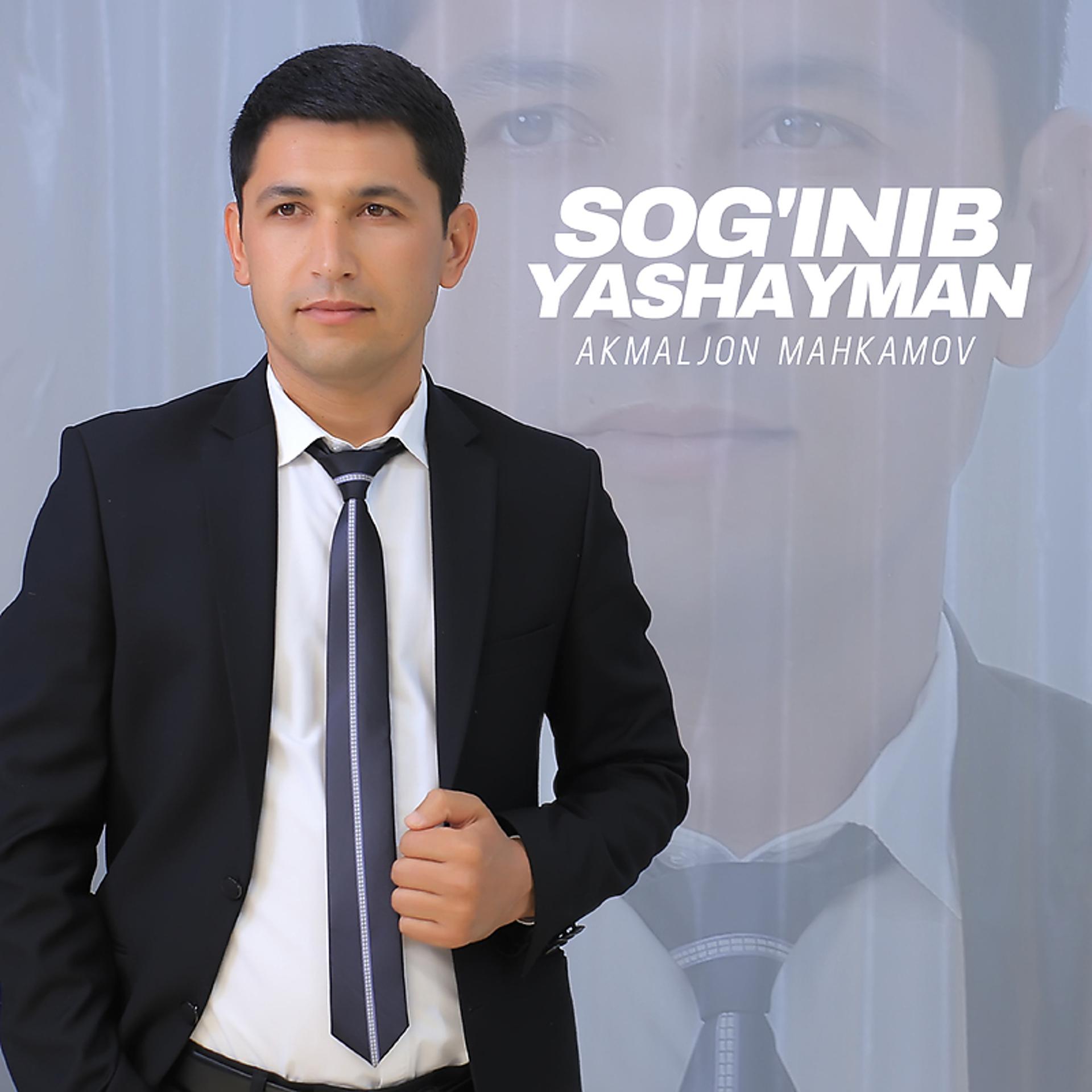 Постер альбома Sog'inib yashayman