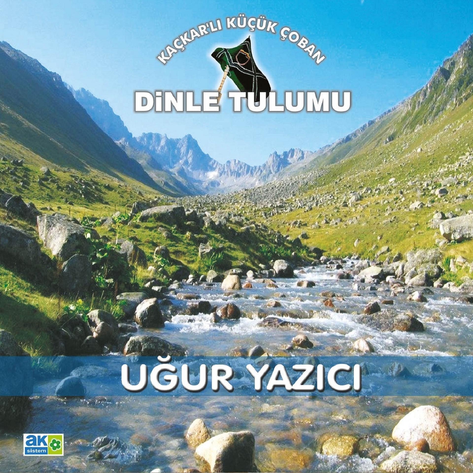 Постер альбома Dinle Tulumu